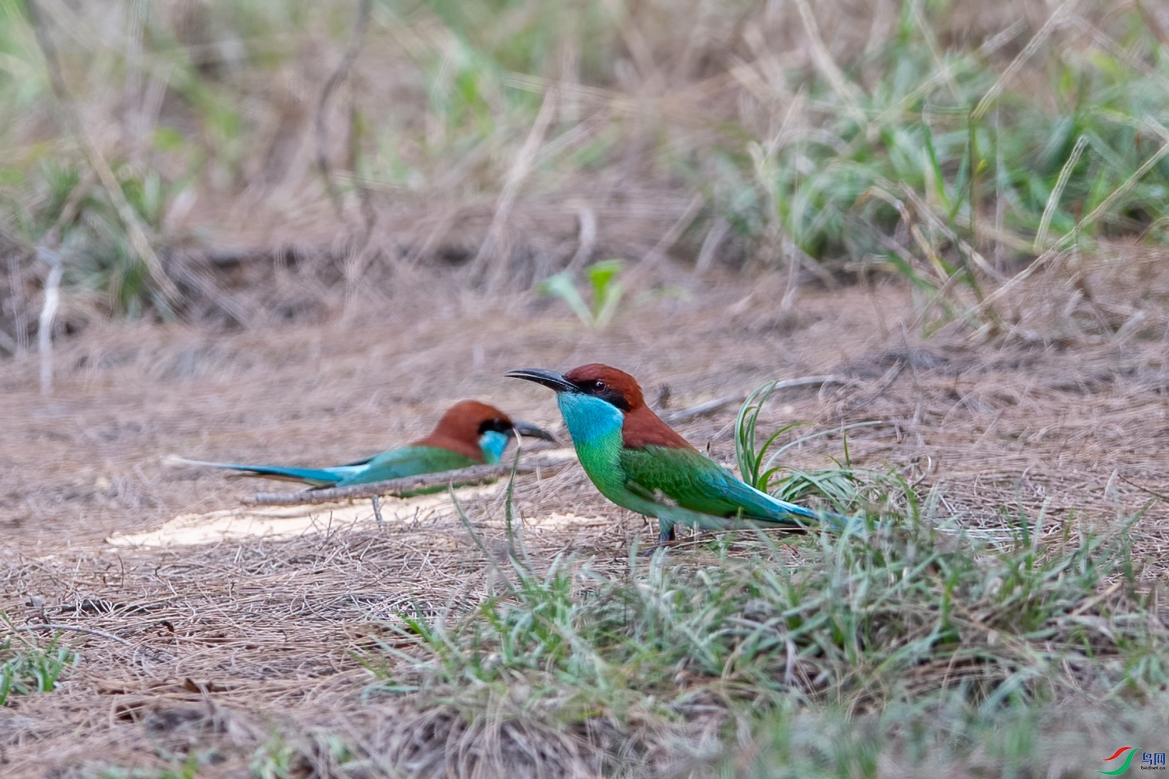 DSC_6701.jpg