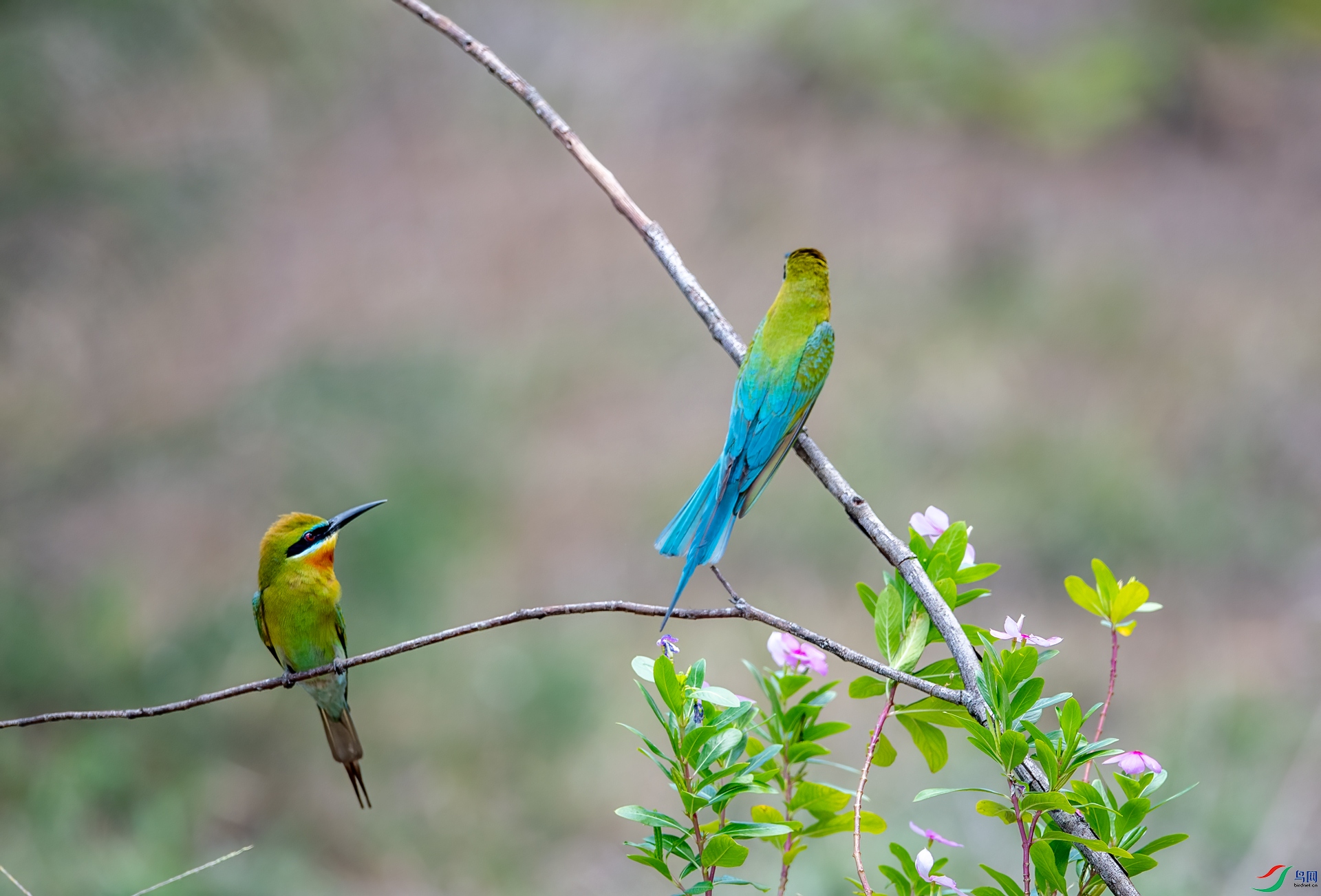DSC_6707.jpg