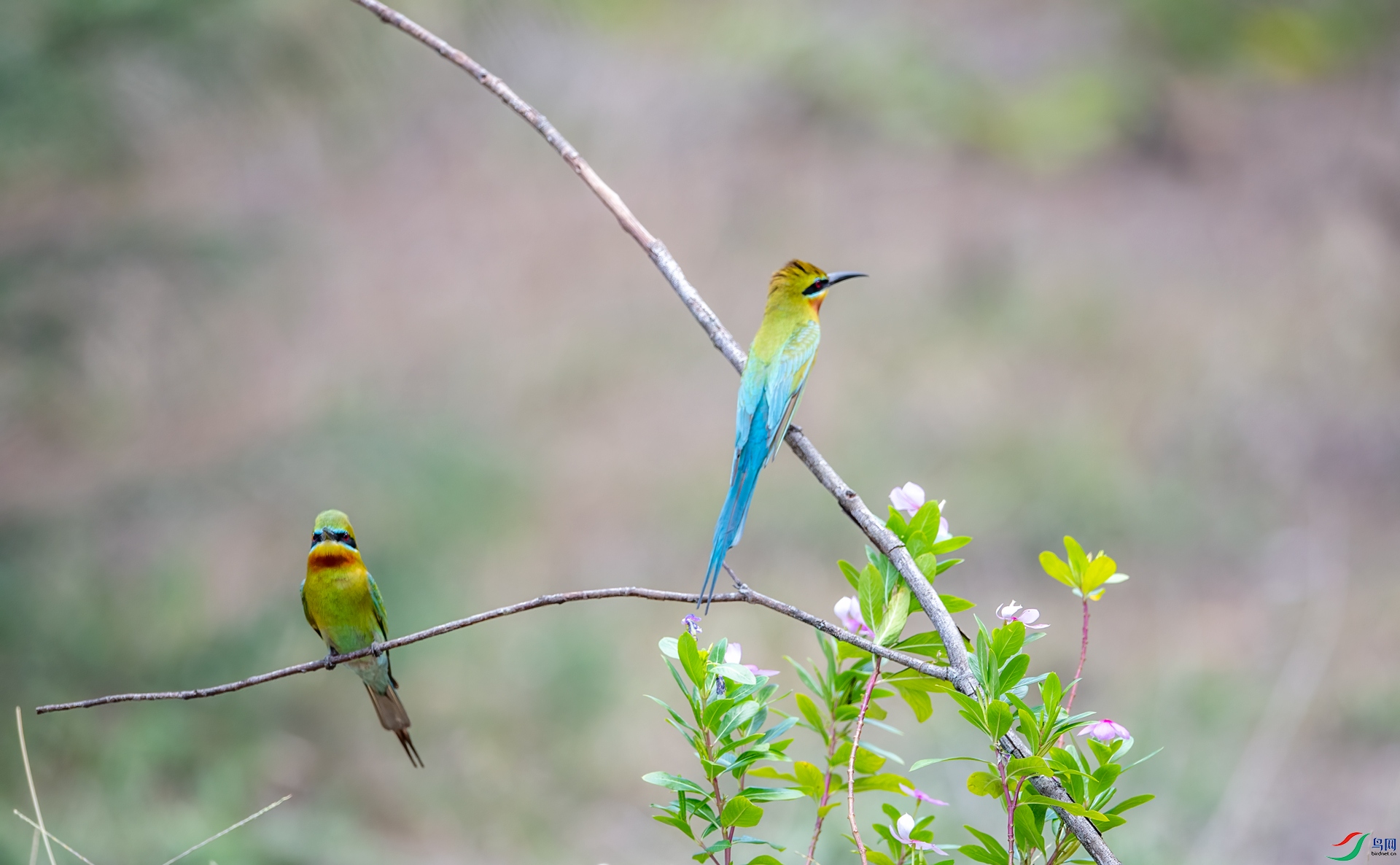 DSC_6711-1.jpg
