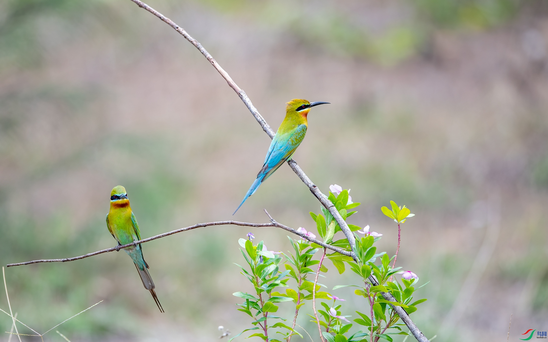 DSC_6723.jpg