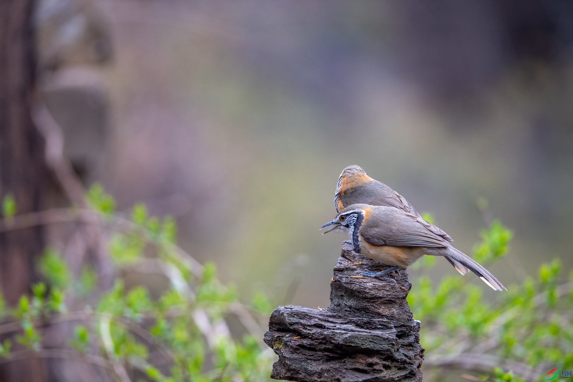 DSC_3678.jpg
