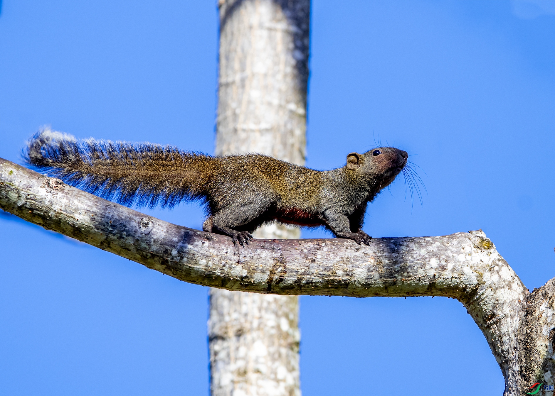 9574 ����.jpg