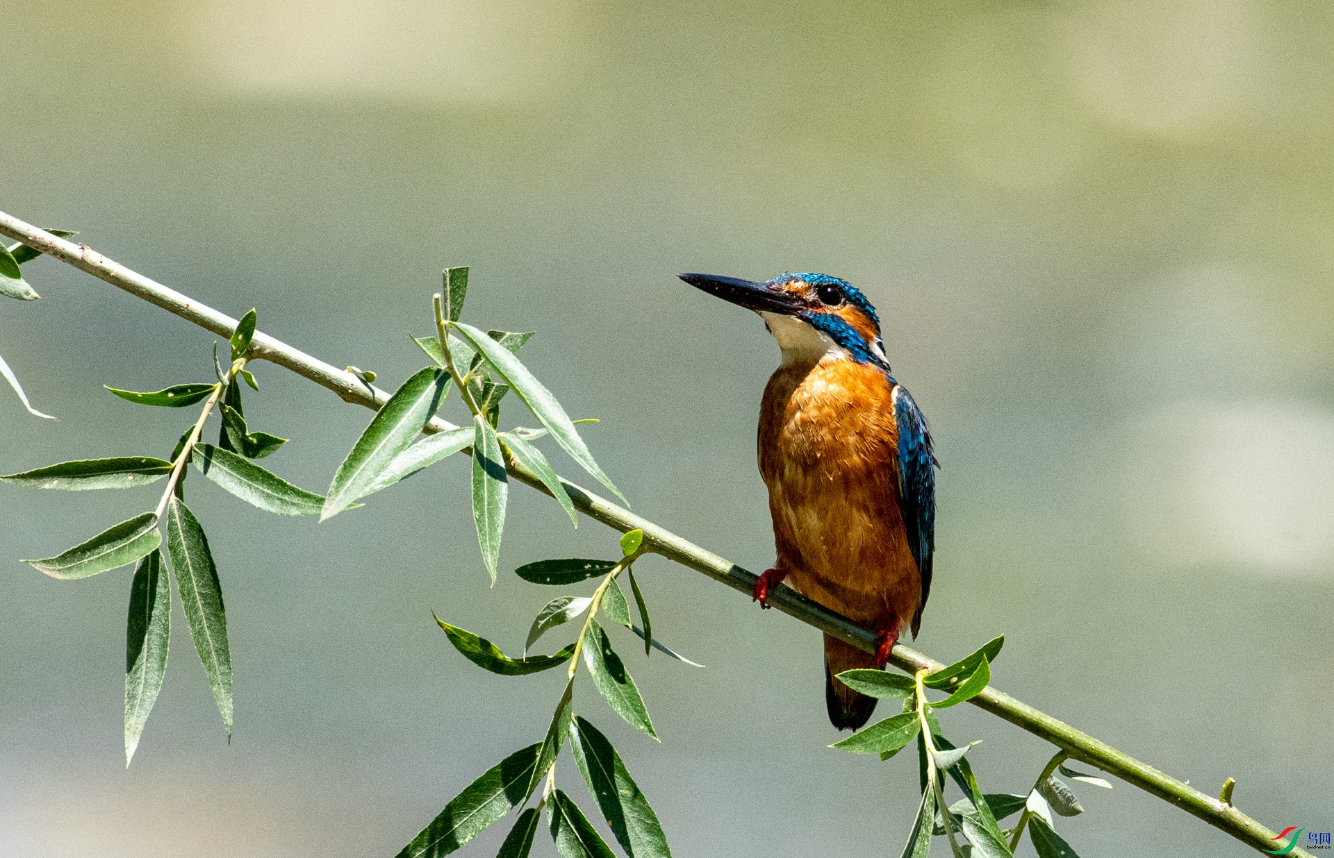 DSC_7592.jpg