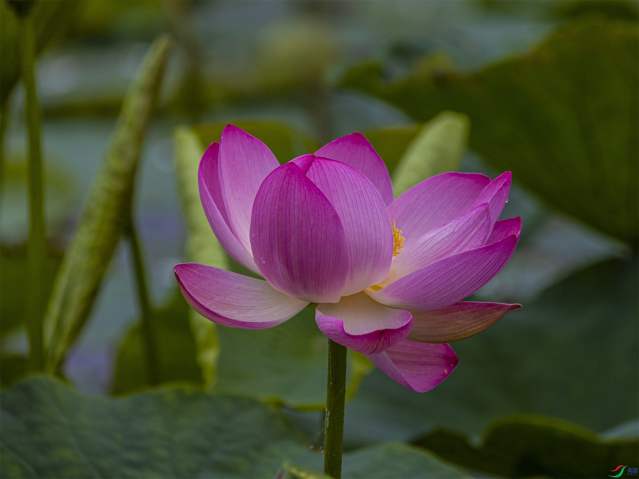 1K3A4538 ����1.jpg