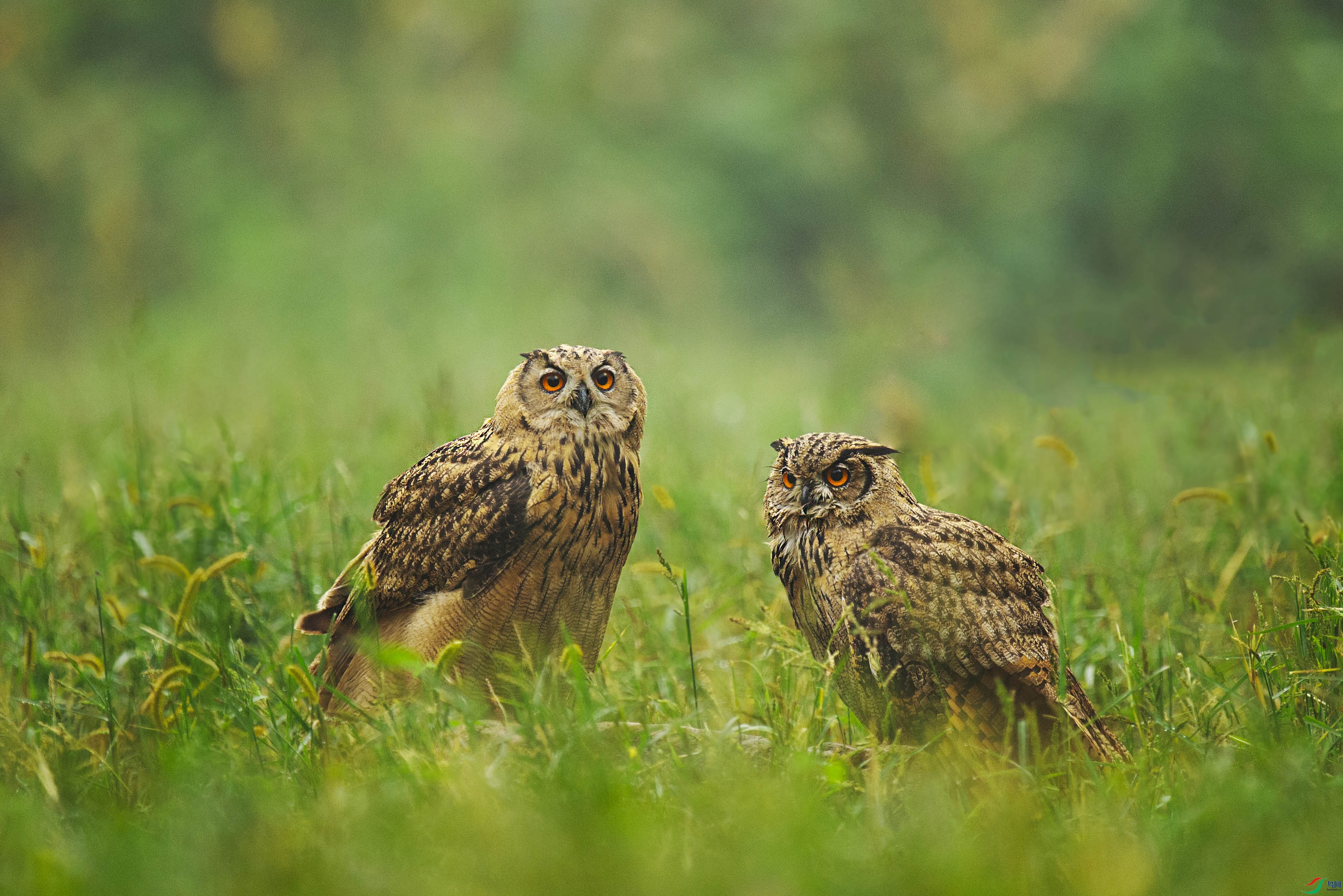 DSC_3987 ����3.jpg