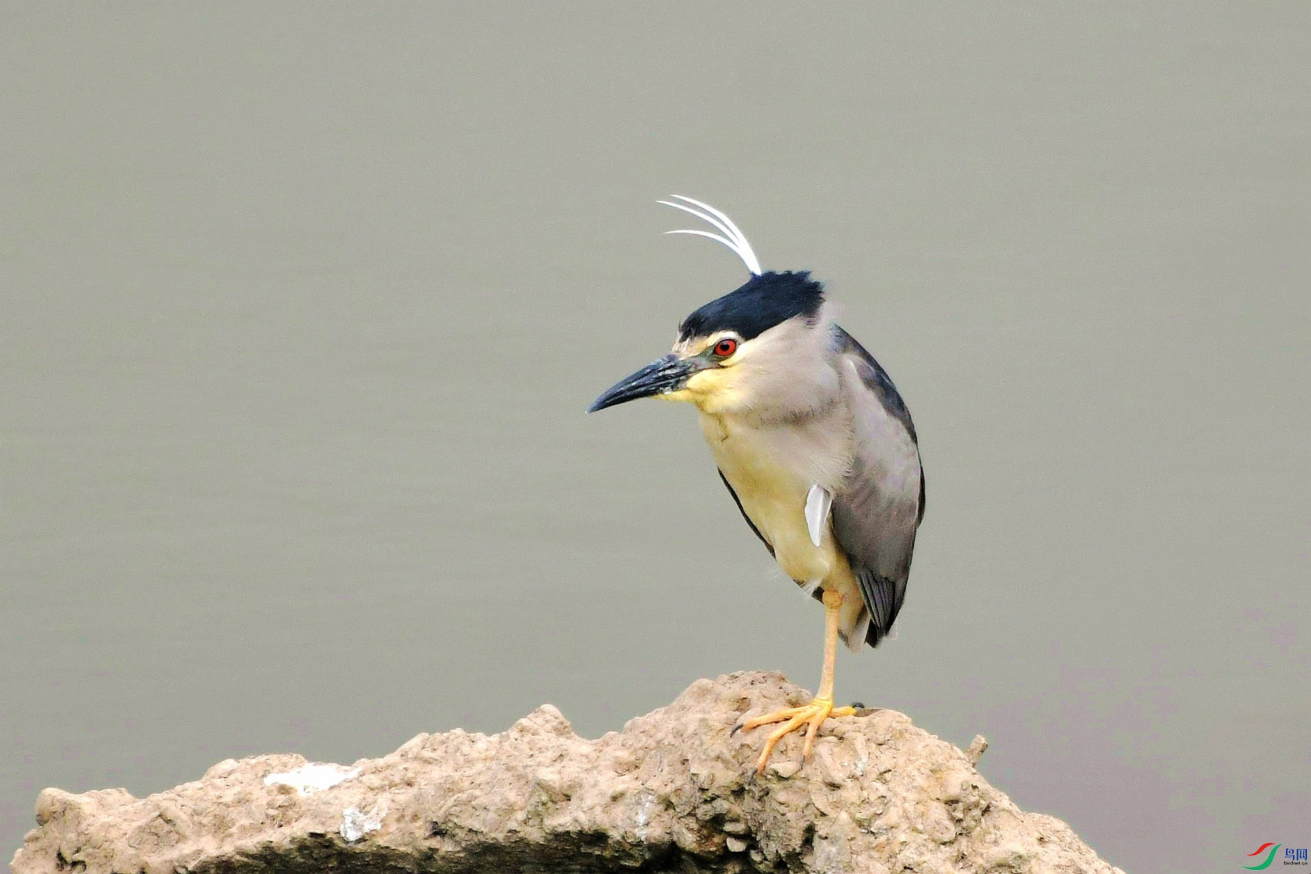 DSC_3273_����.jpg