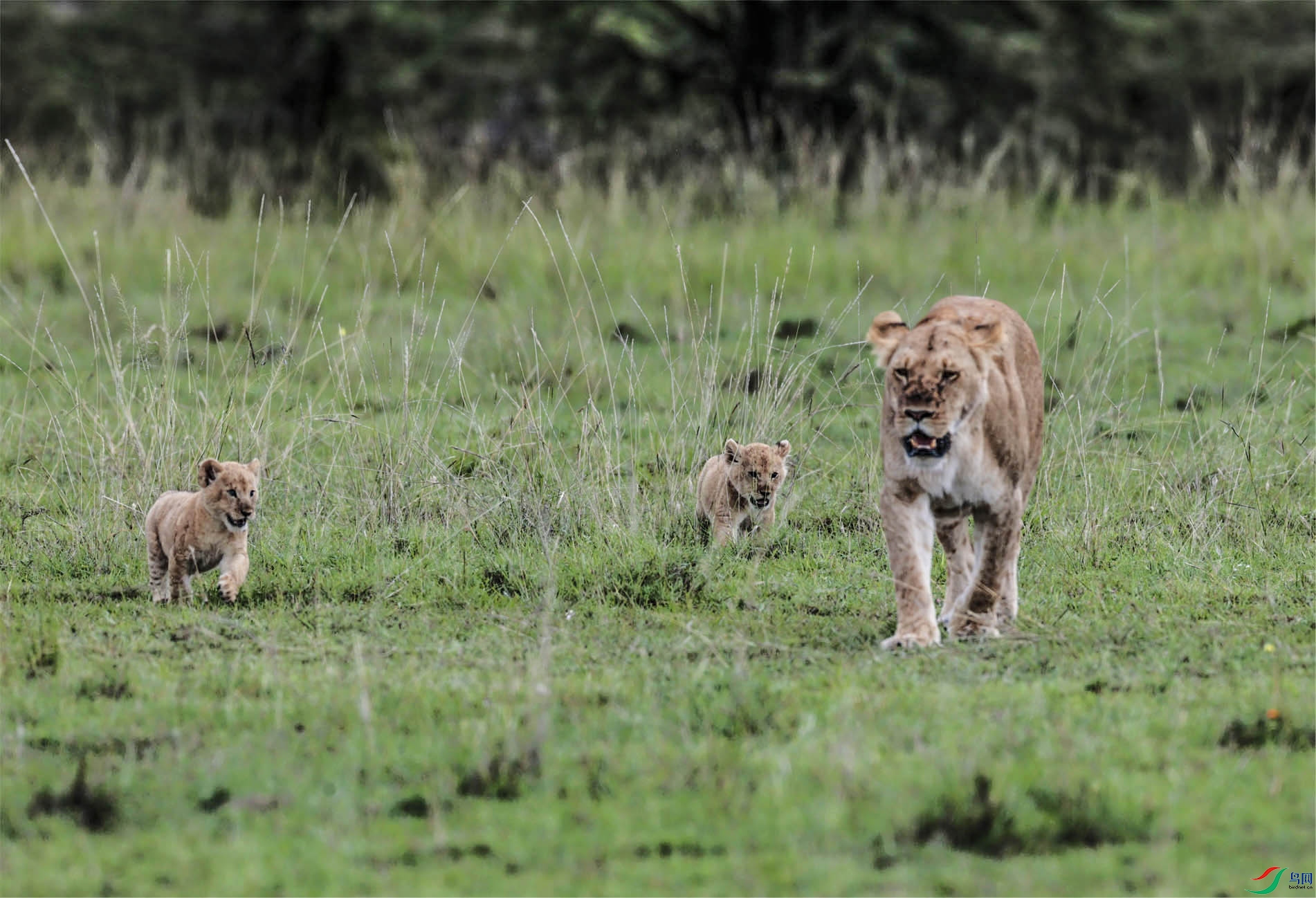 ��ֻһ�����ҵı��� ����.jpg