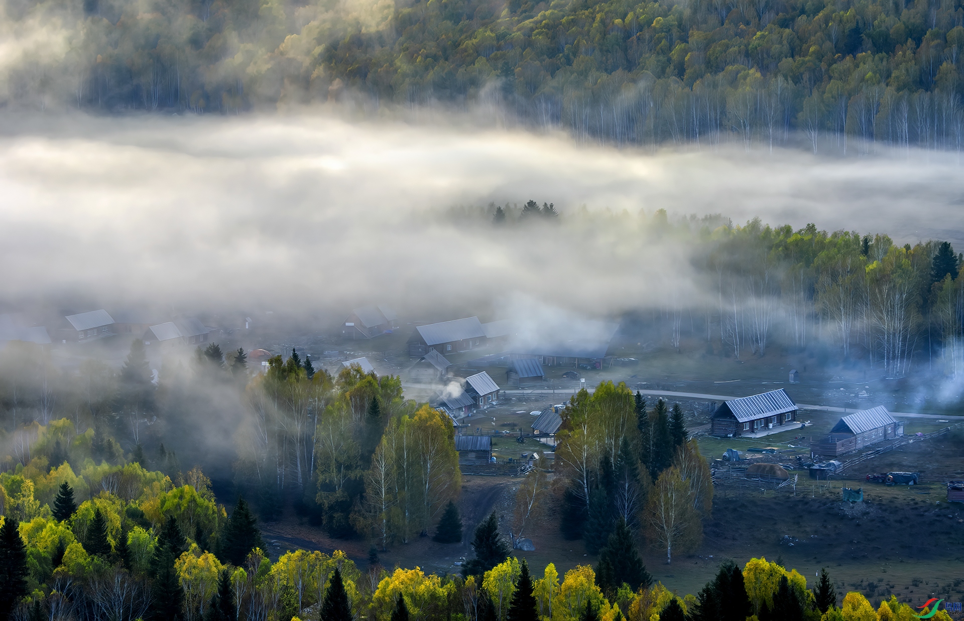 _DSC9234-NEF - ��ľ���.jpg