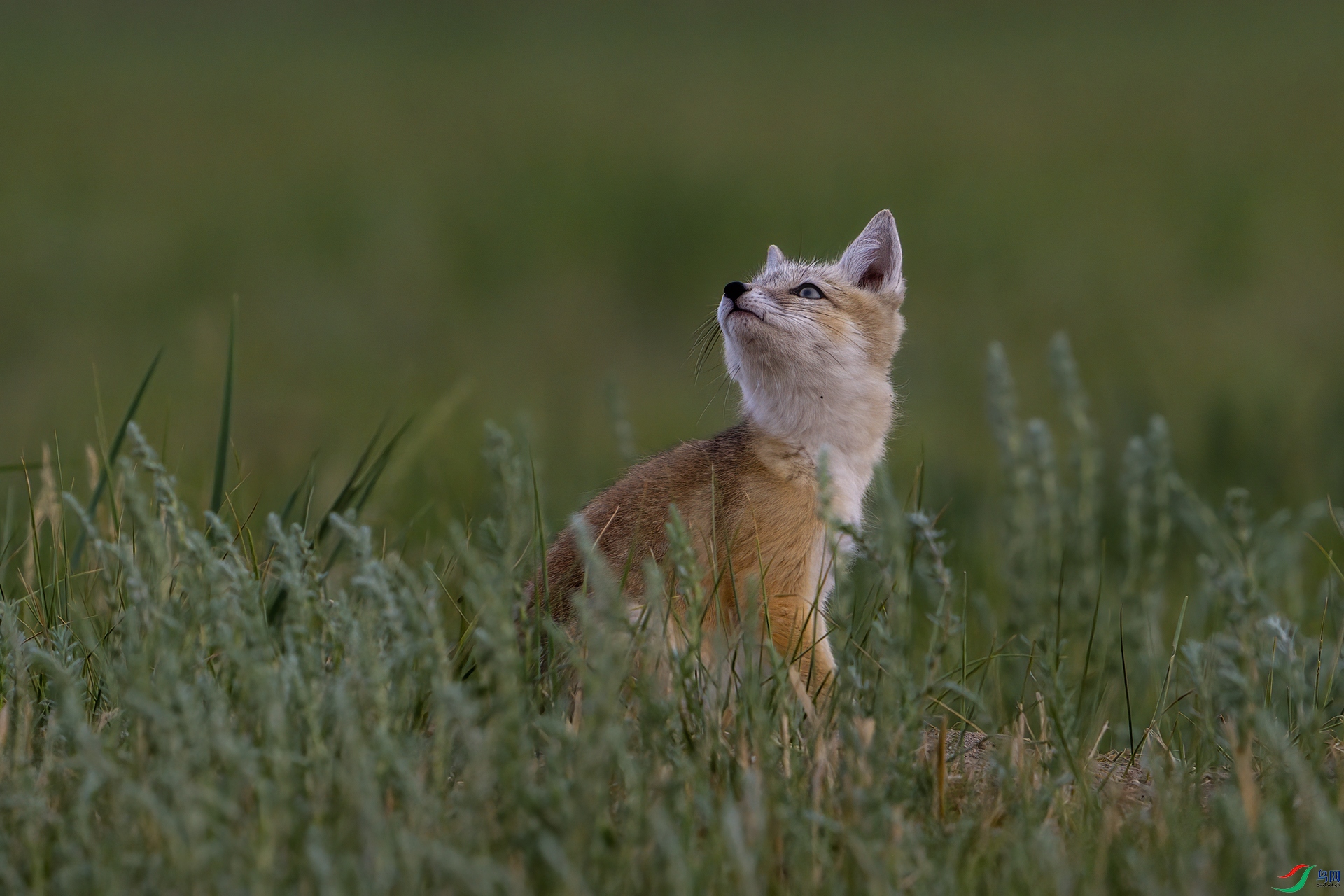 _DSC9795 ����.jpg