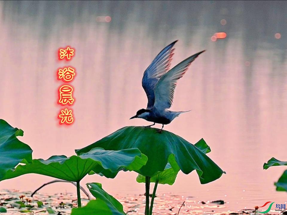 ��ԡ����