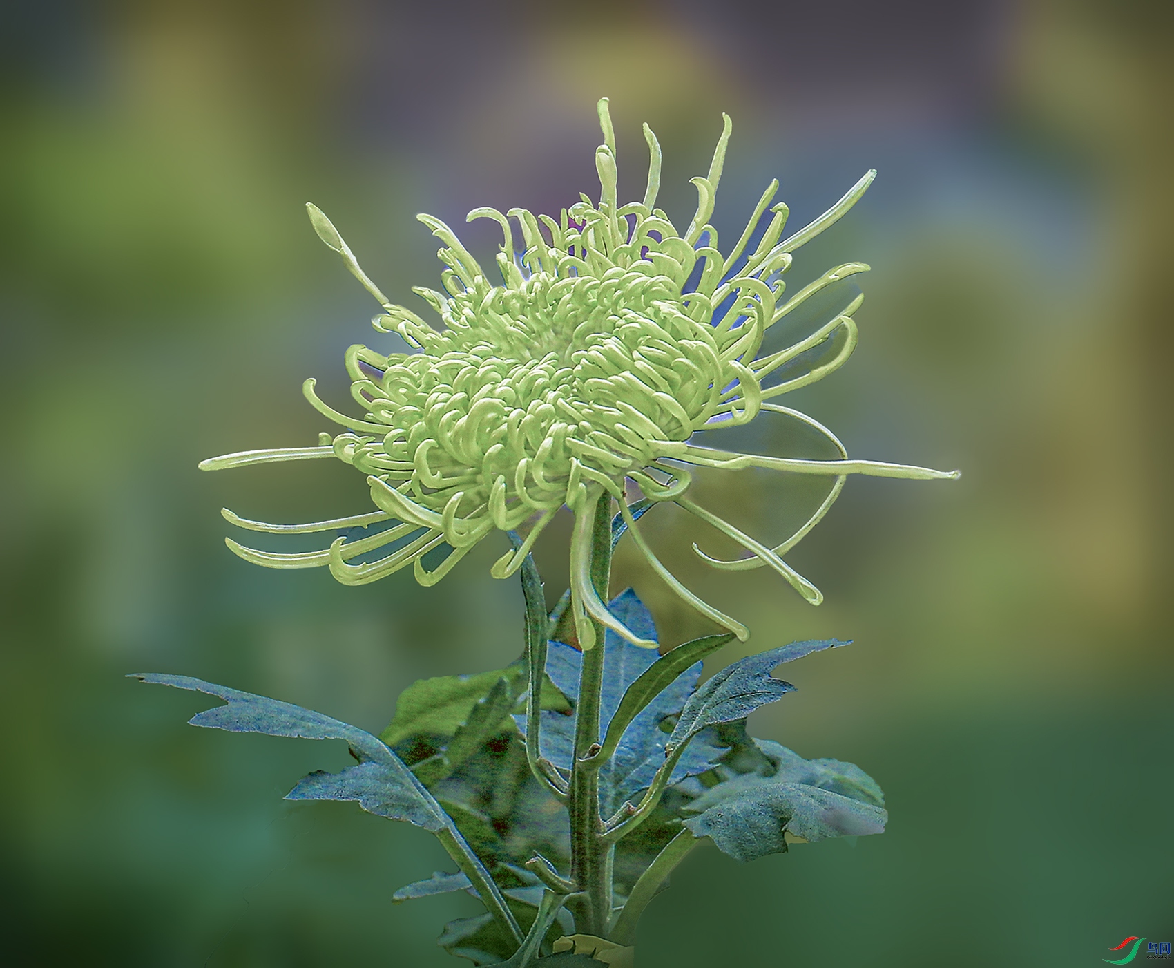 000002U9A0833 ��������1000k.jpg