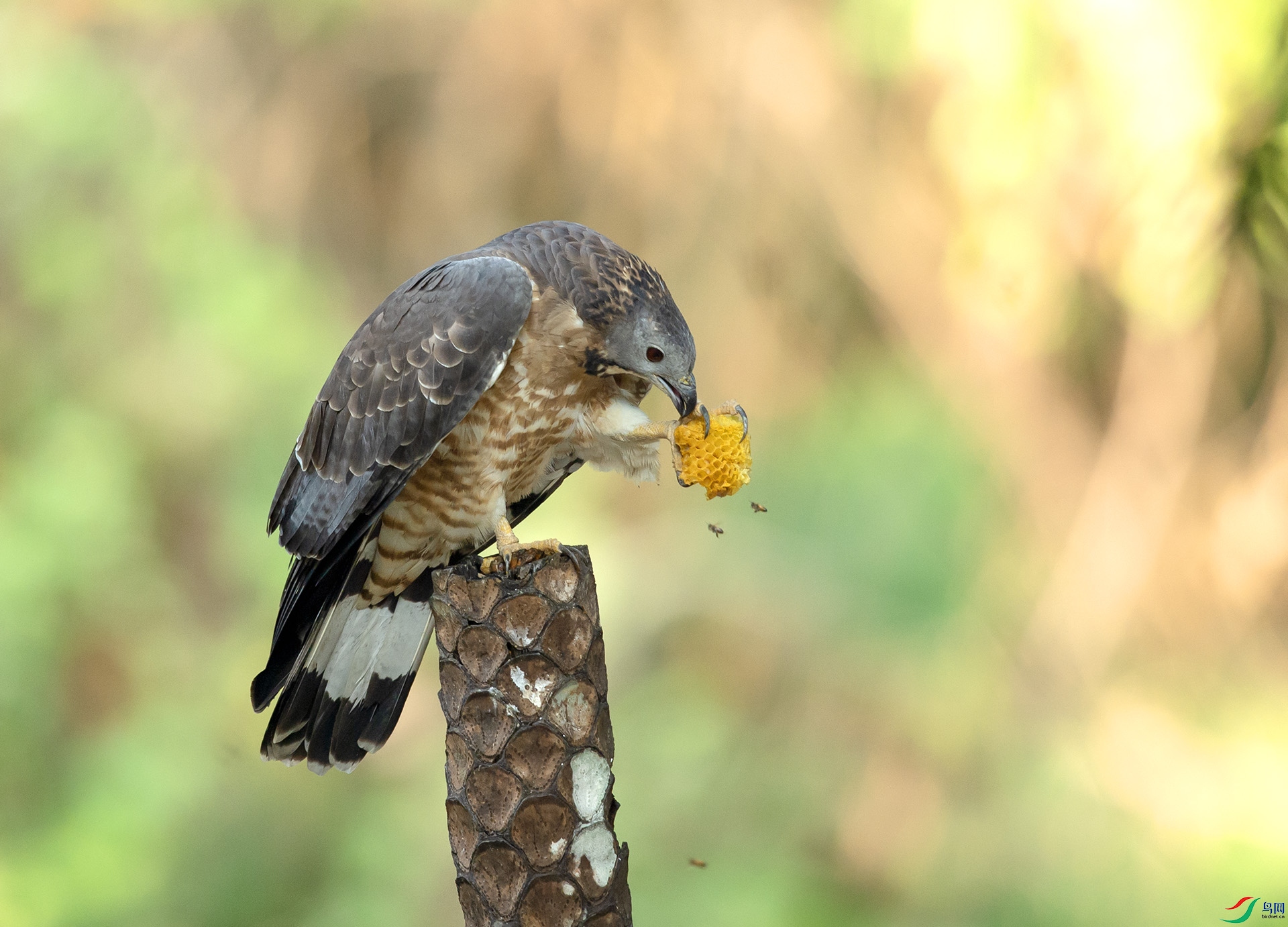 ��DSC_8706 ��ؐ.jpg