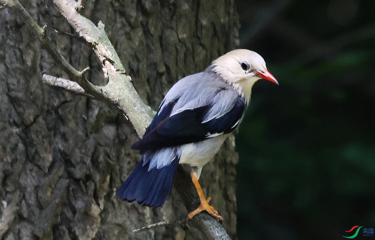 1P3A2824.JPG