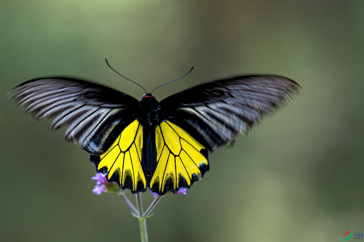 P7090079-���ѷ��.jpg