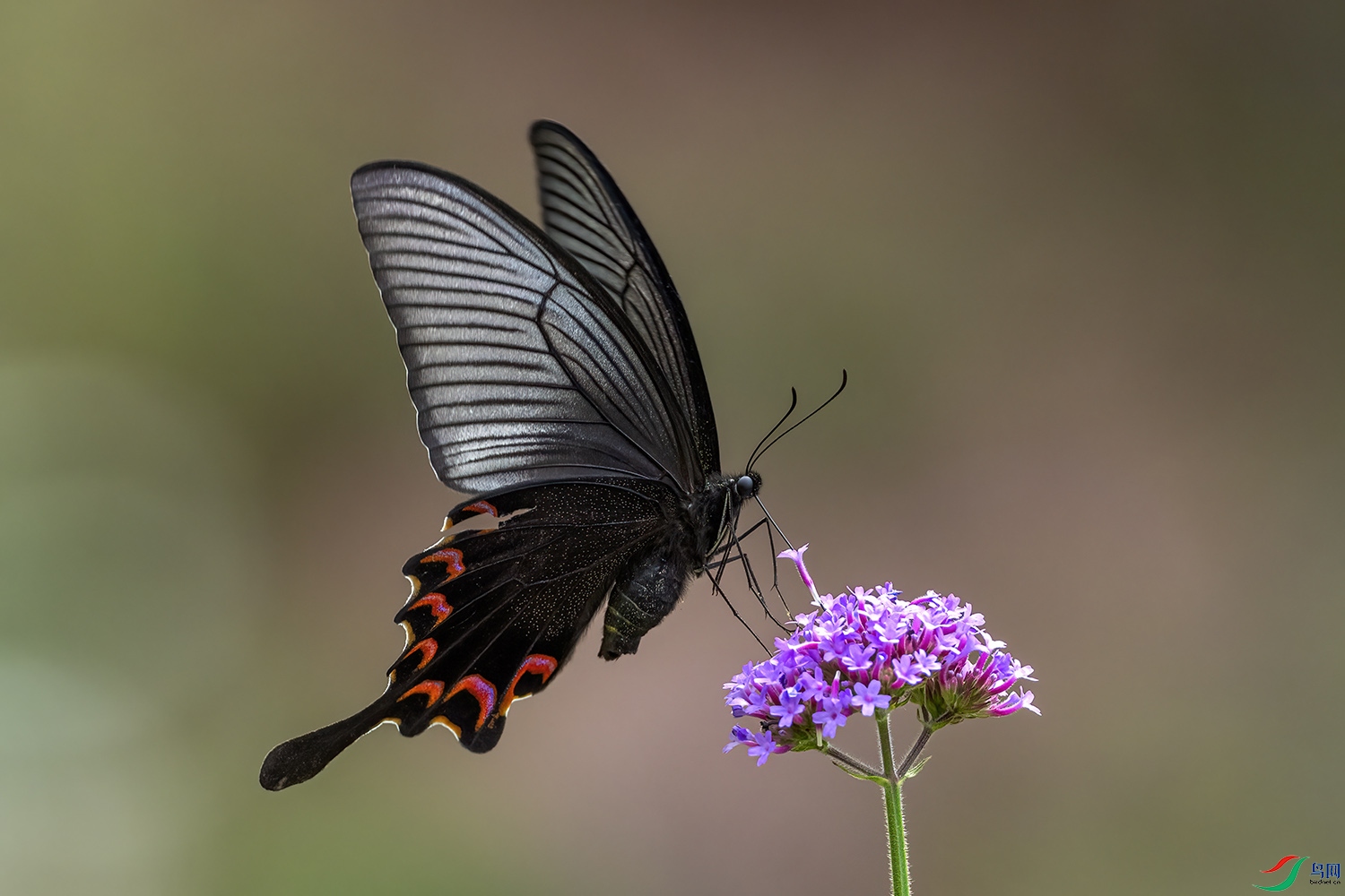 P7111733-�̷��.jpg