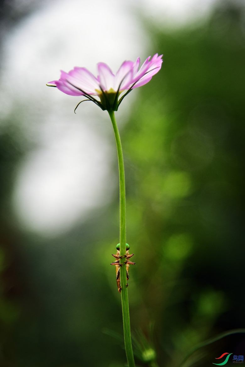 DSC_3704_����.jpg