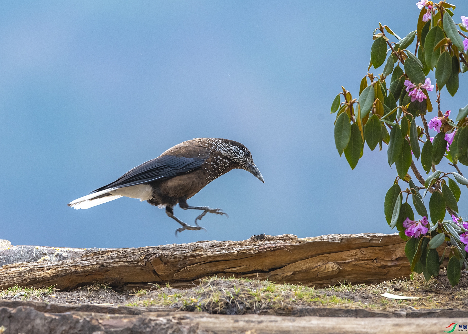 4225 ����.jpg