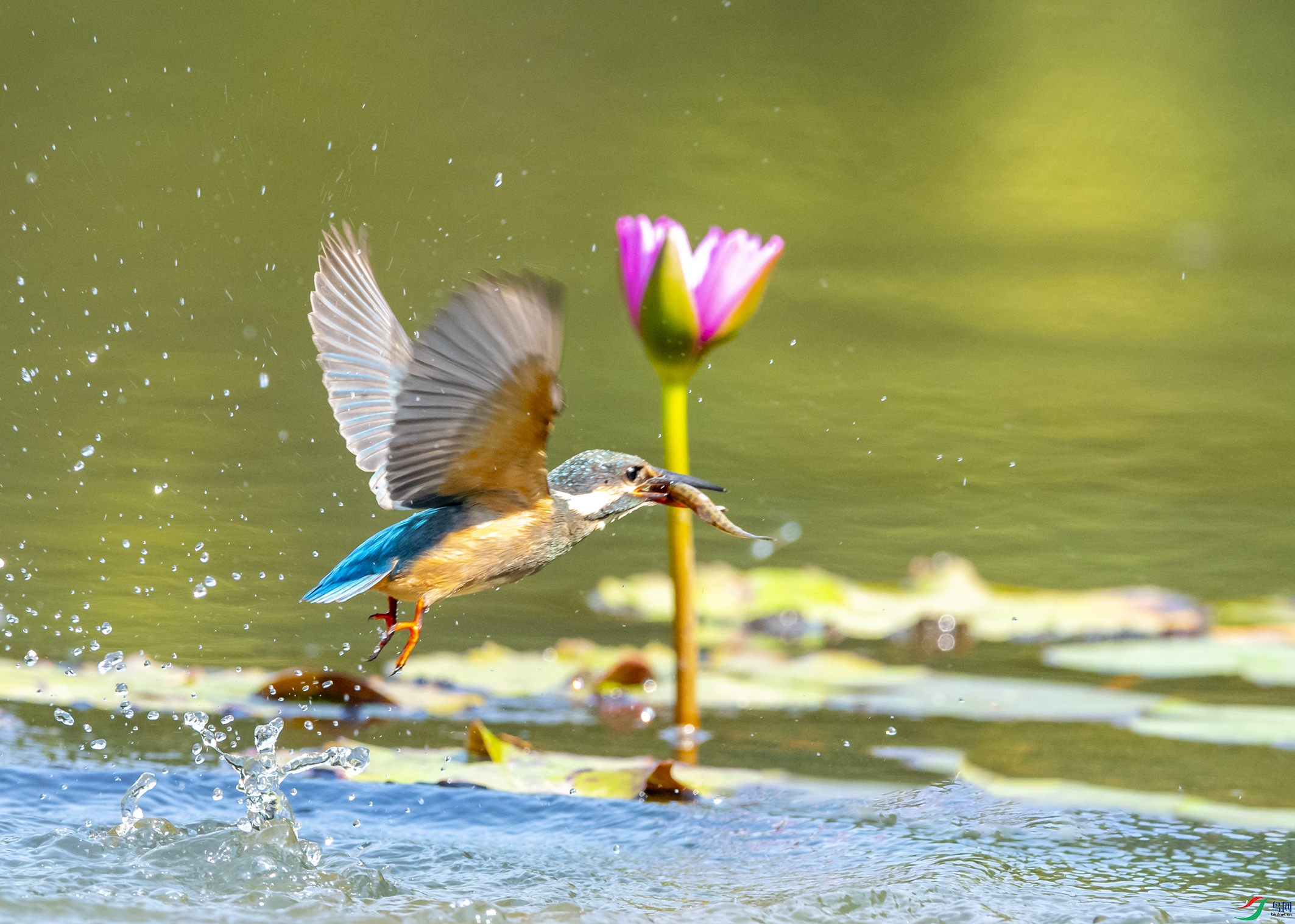 9812 ����.jpg