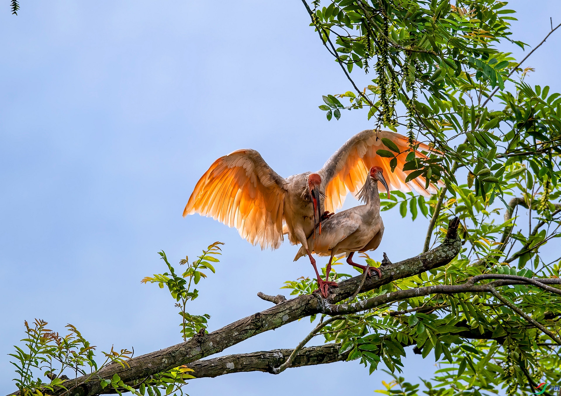 DSC_1010 ����_����.jpg