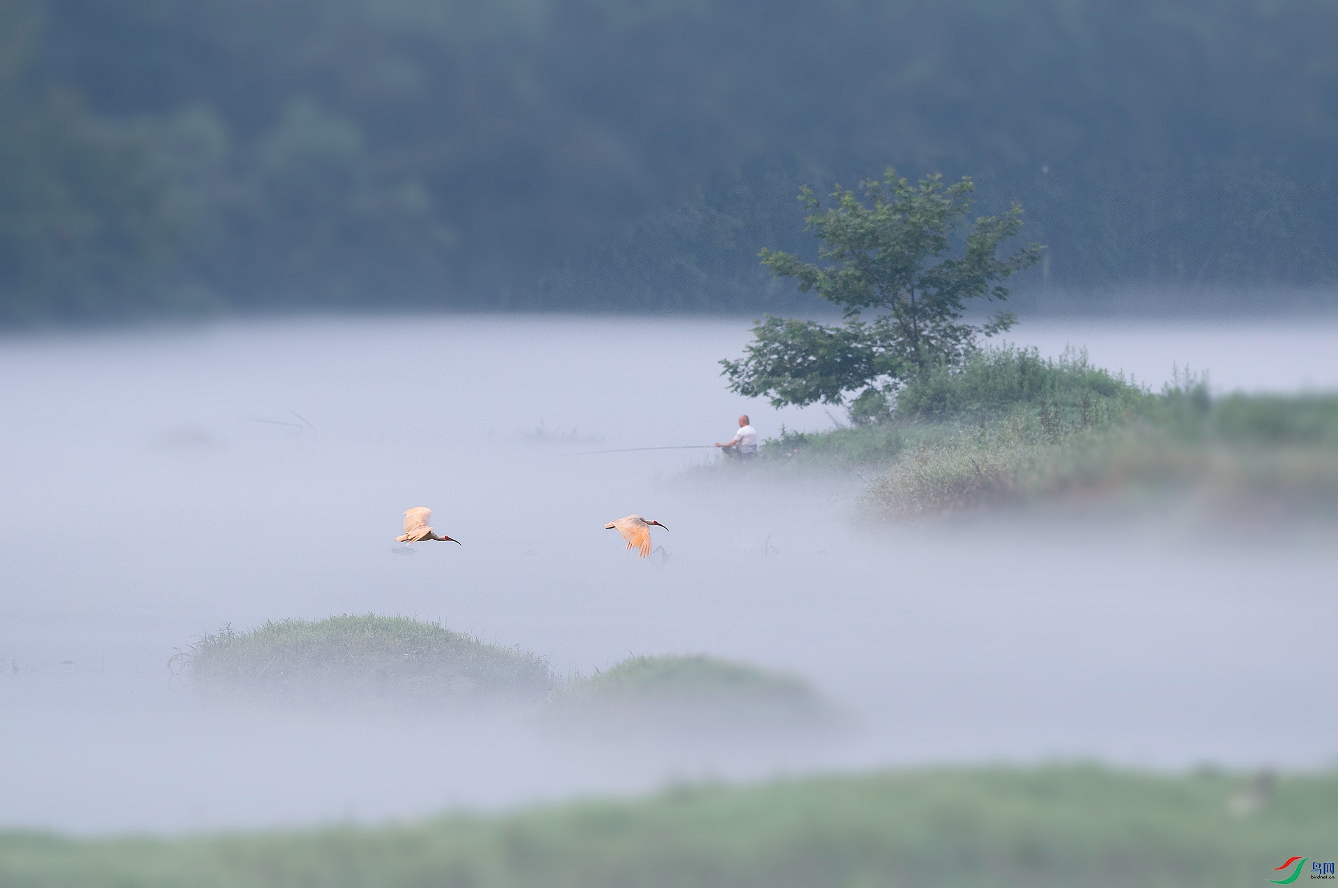 DSC_1610 ����_����.jpg