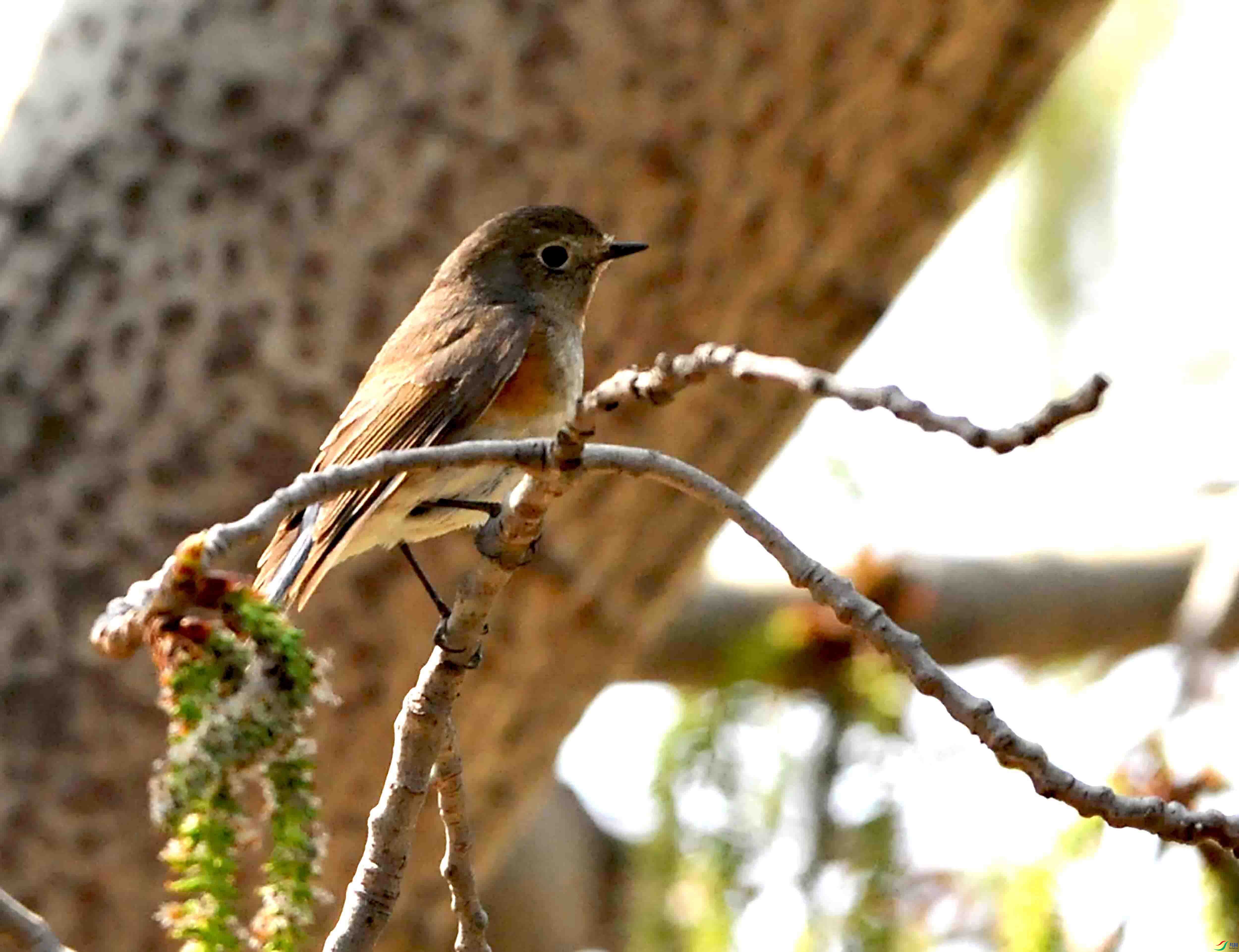 DSC_6768.JPG