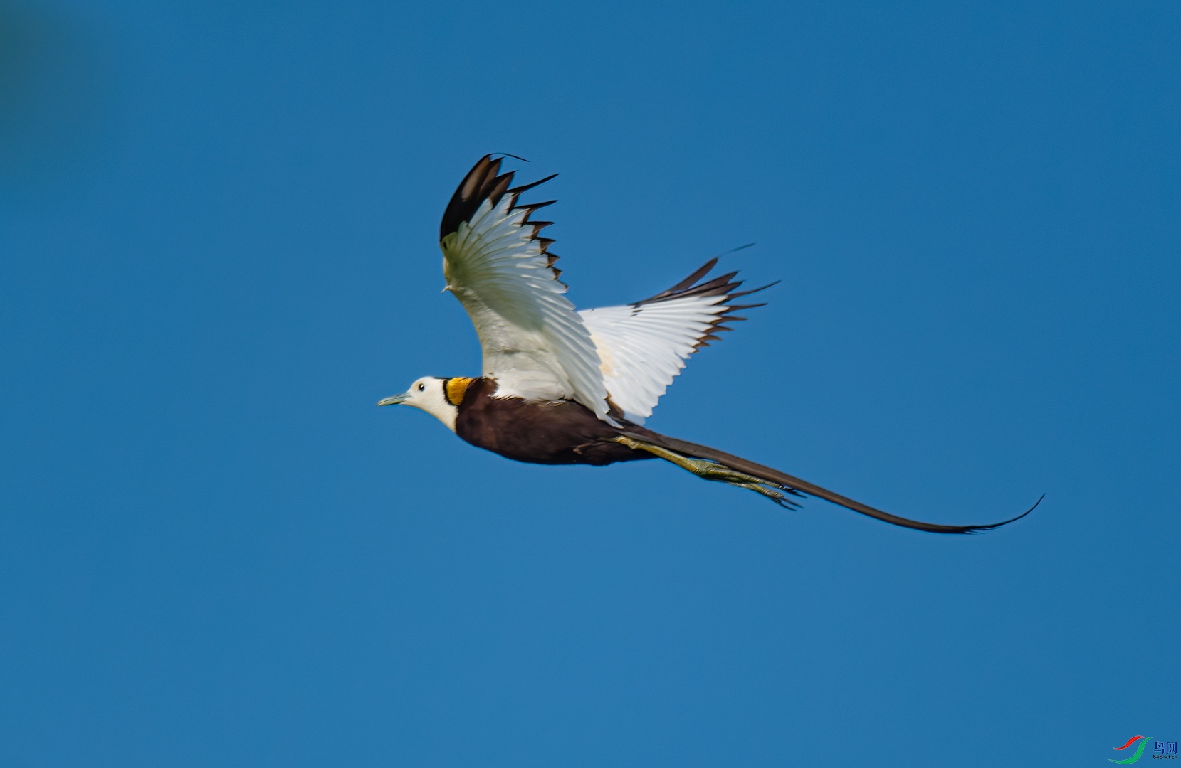 _DSC3497-NEF_DxO_DeepPRIME-DeNoiseAI-standard-2.jpg