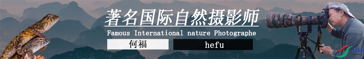 e1099f0d4e3e2b74605468518b52540.jpg