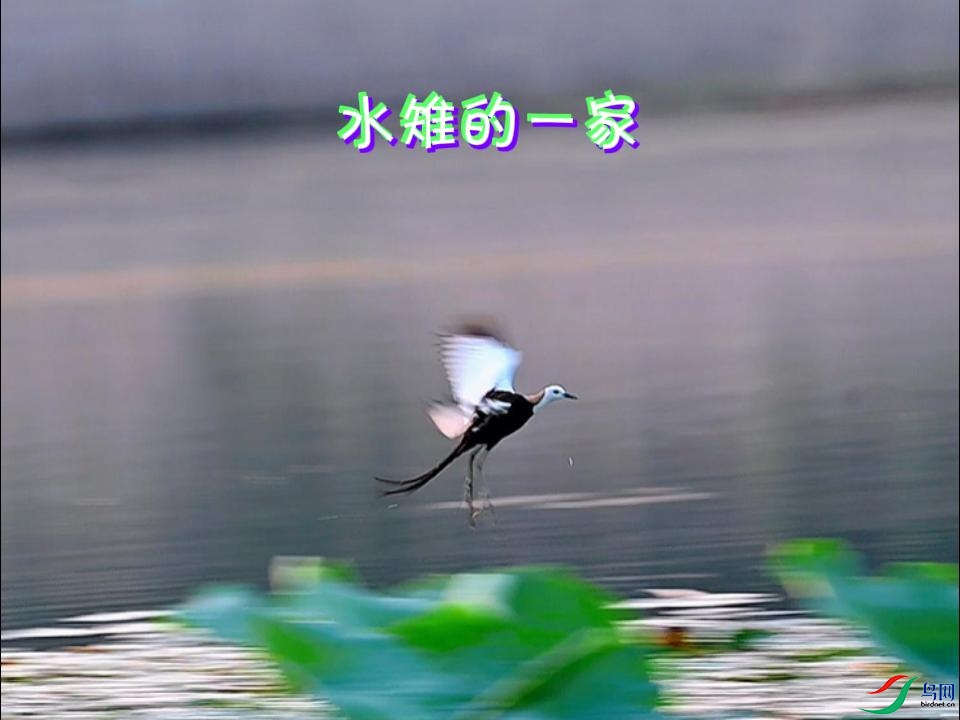 ˮ����һ��