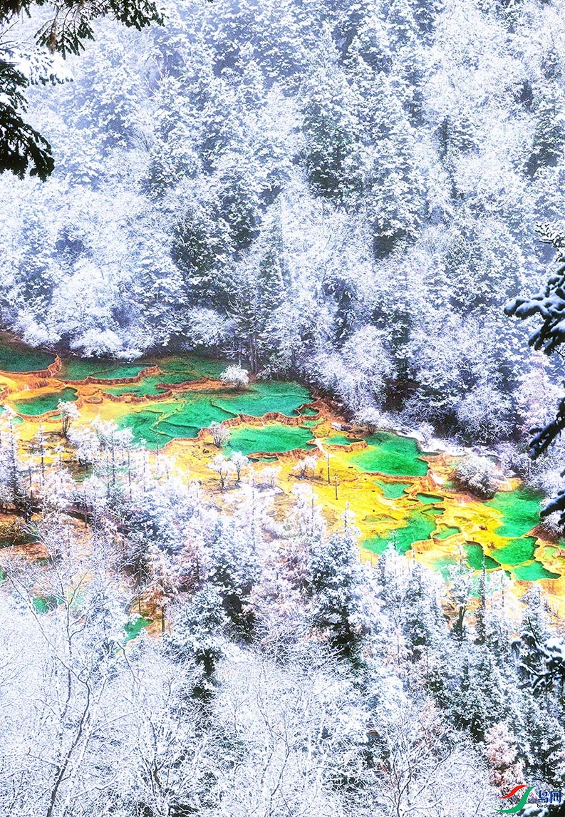 ������ѩ��