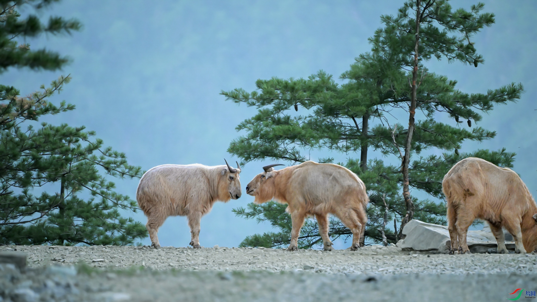 DSC_7178_����.jpg��������_����.jpg4.jpg
