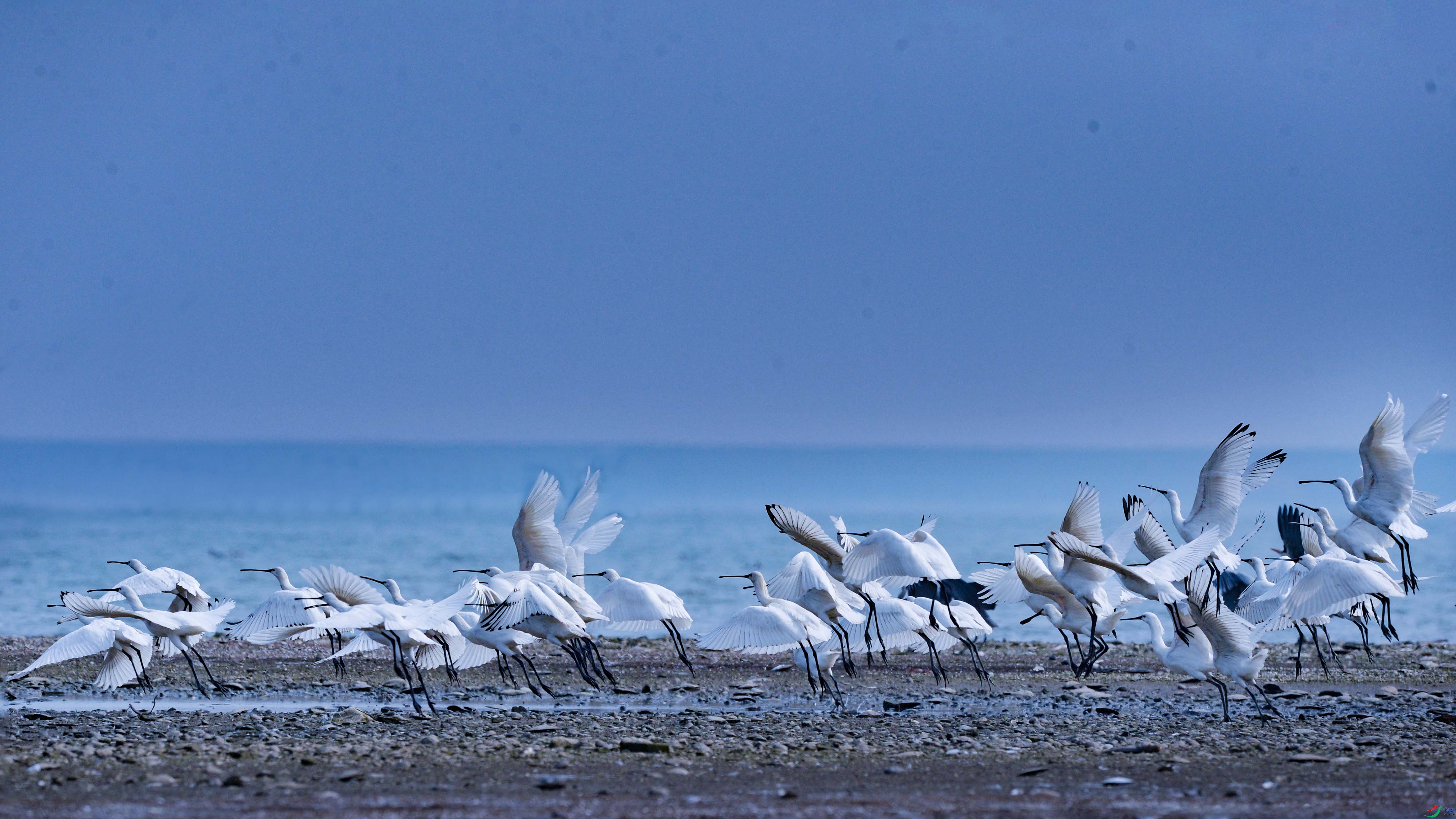 DSC_8664.jpg