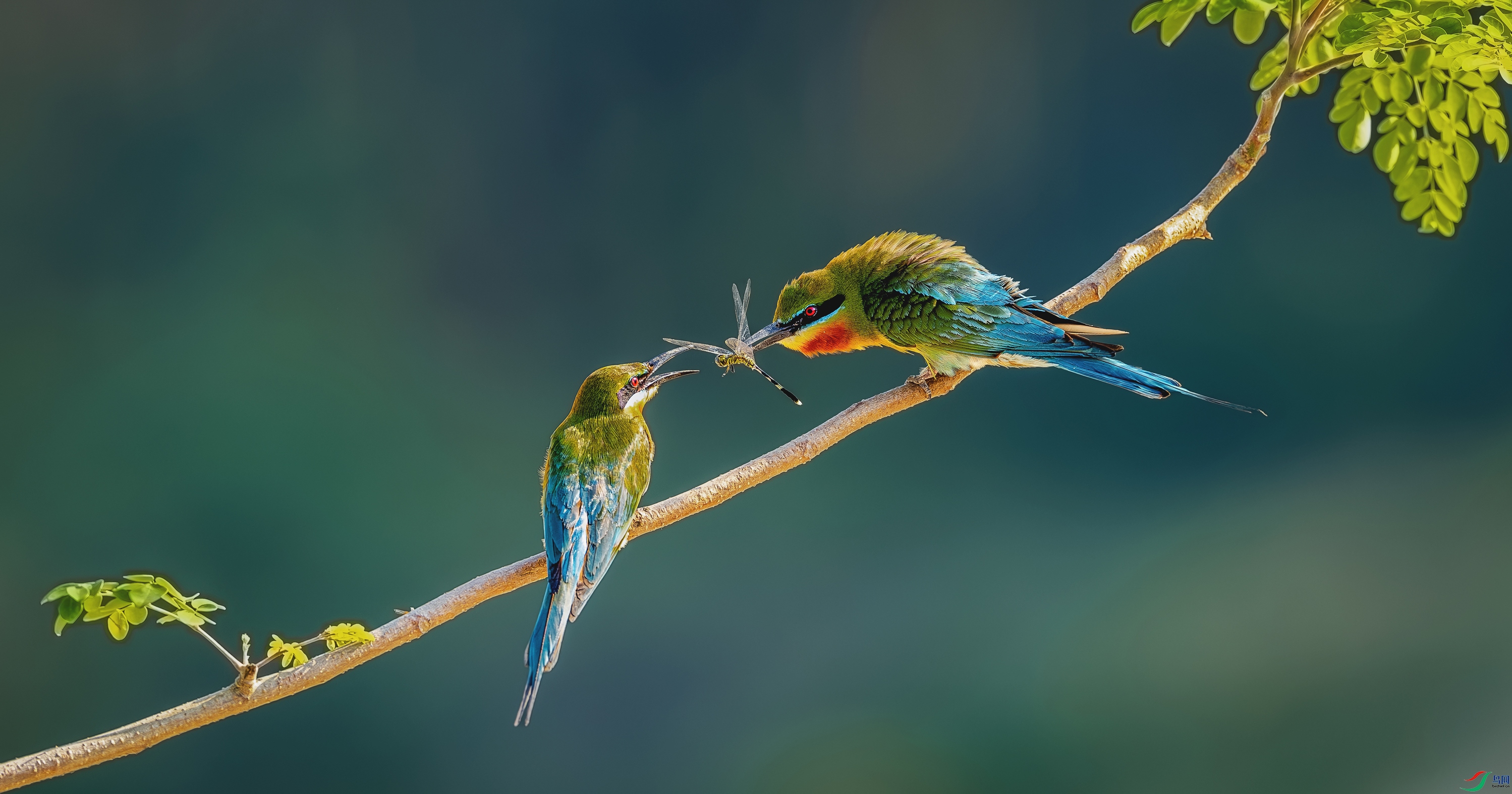 _YH_0041-����ǿ-NR-22.jpg
