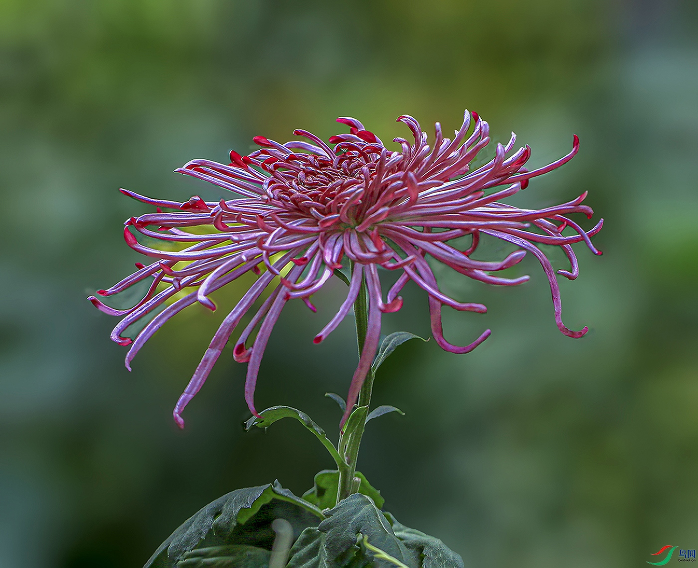 000002U9A0838 �����1000k.jpg