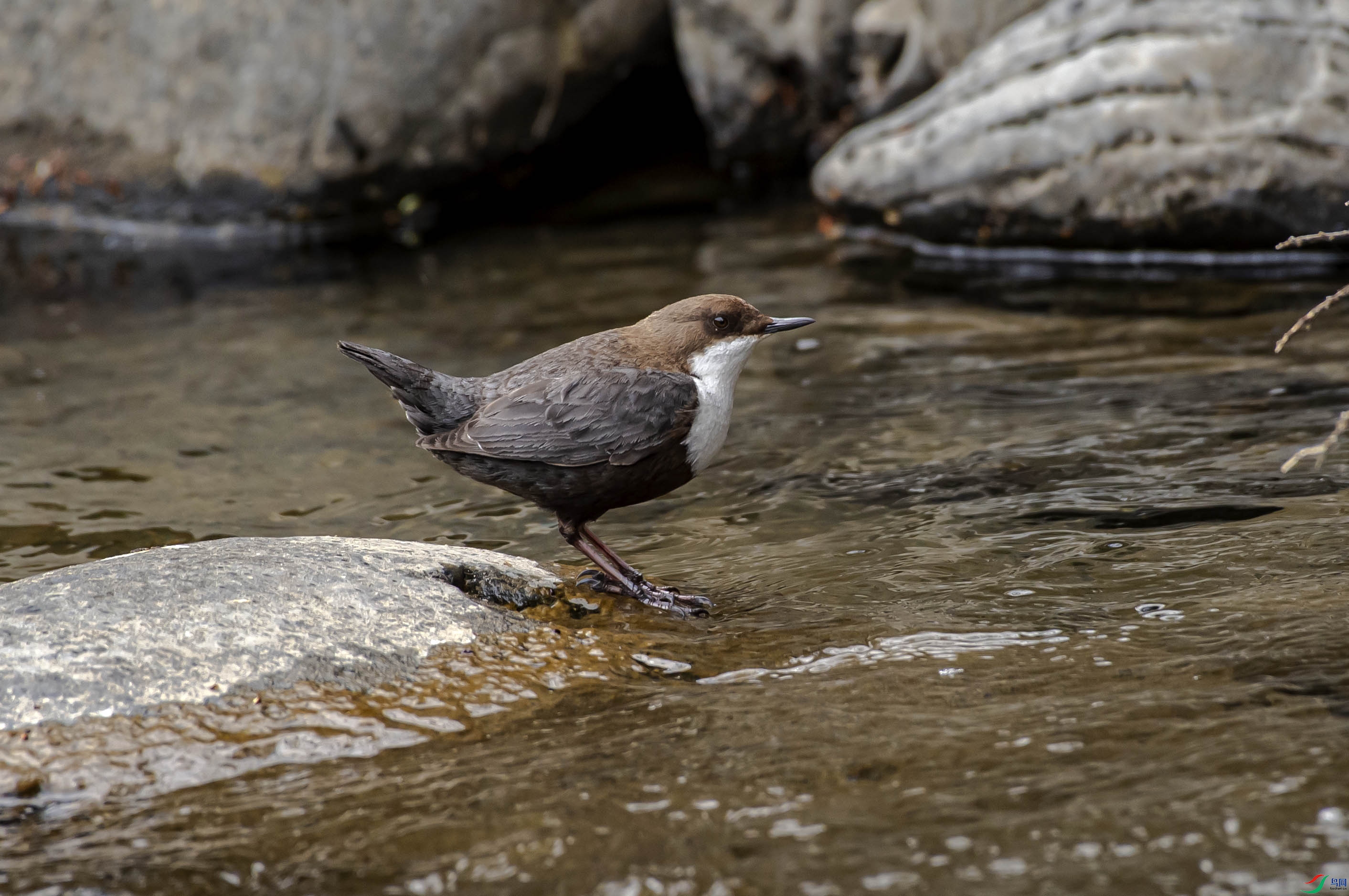 DSC_3430.jpg