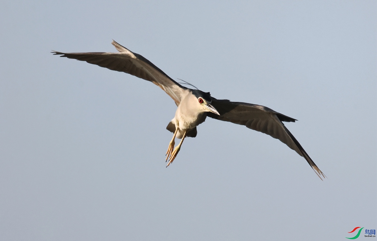 1P3A8679.JPG