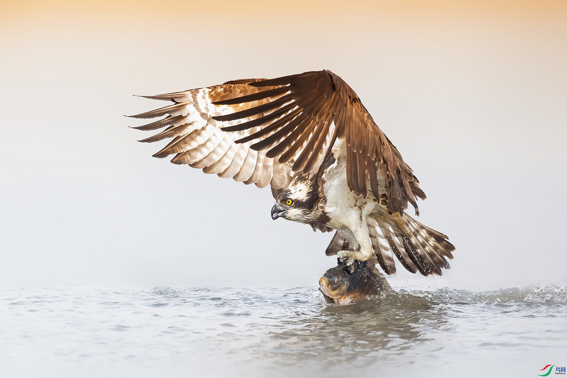 019A11025 ����.jpg