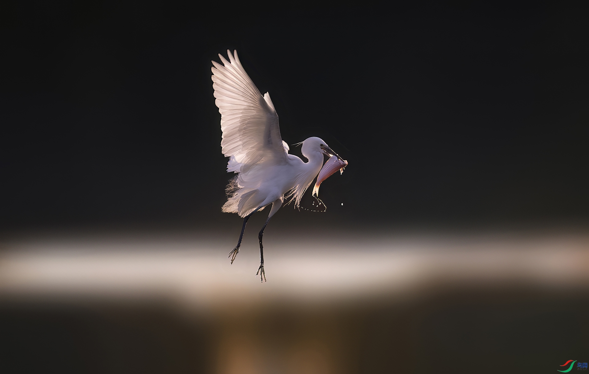 DSC_3448 ���� 4.jpg