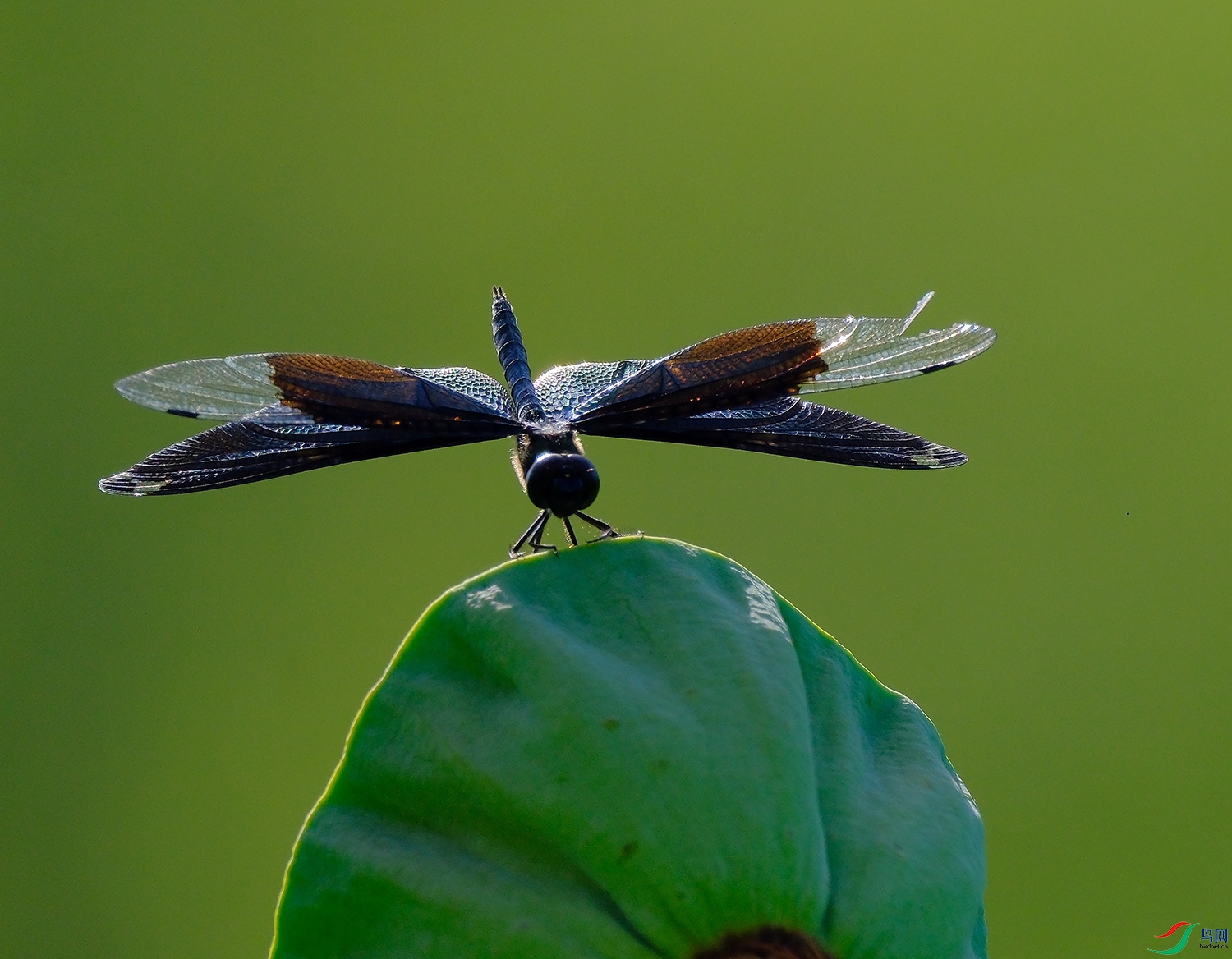 DSCF8205.JPG