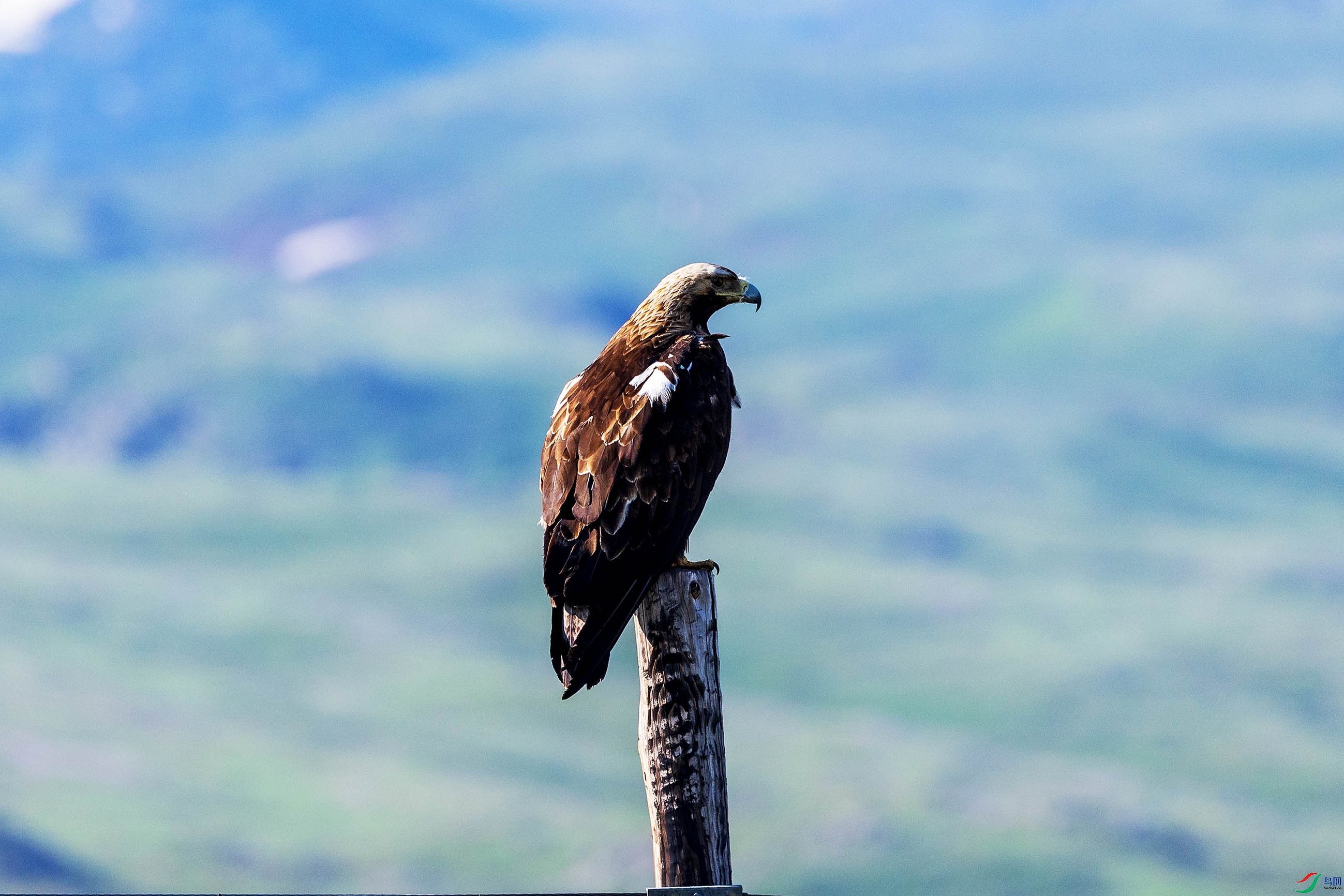 063A6800.jpgb1.jpg