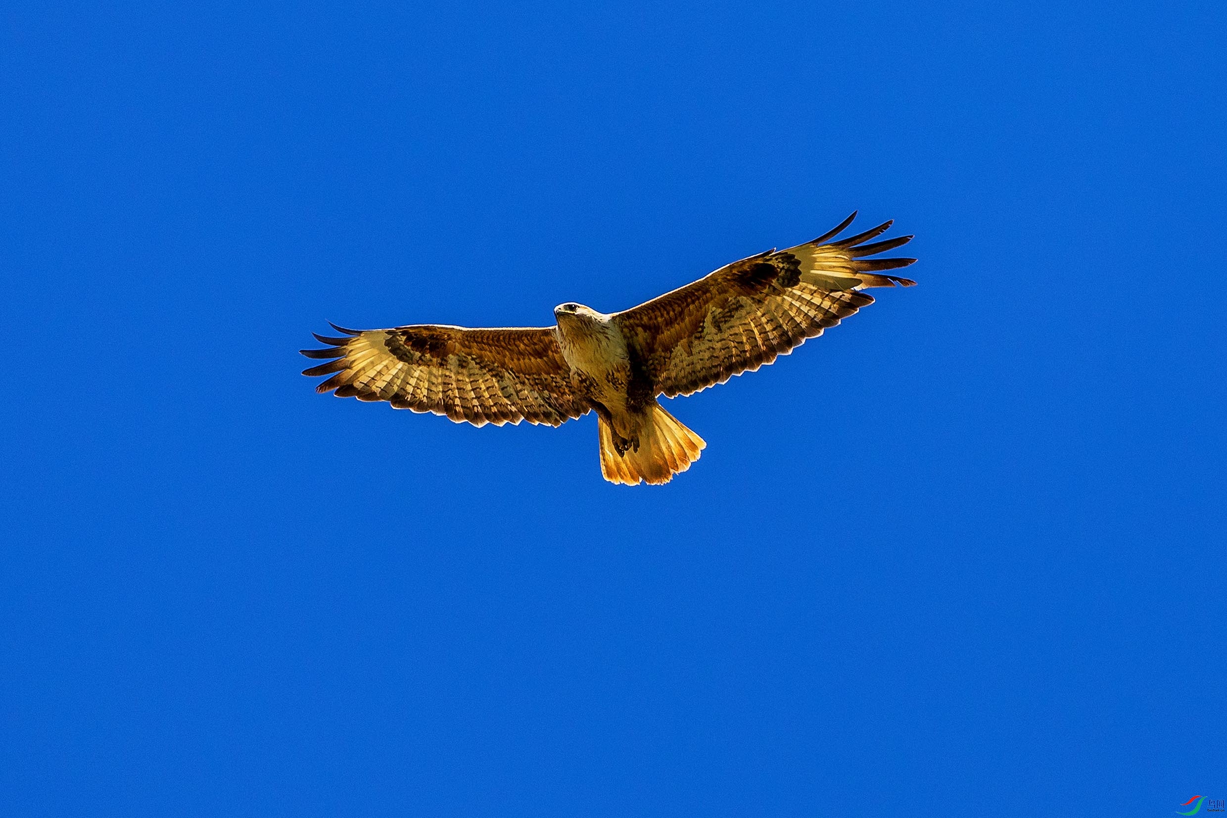 063A4413.jpgb1.jpg