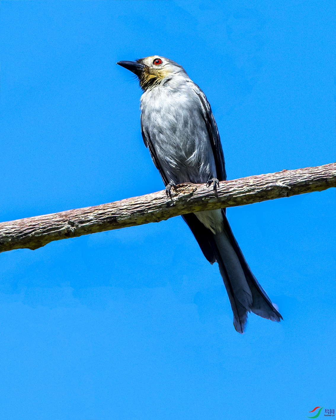 0374 ����.jpg