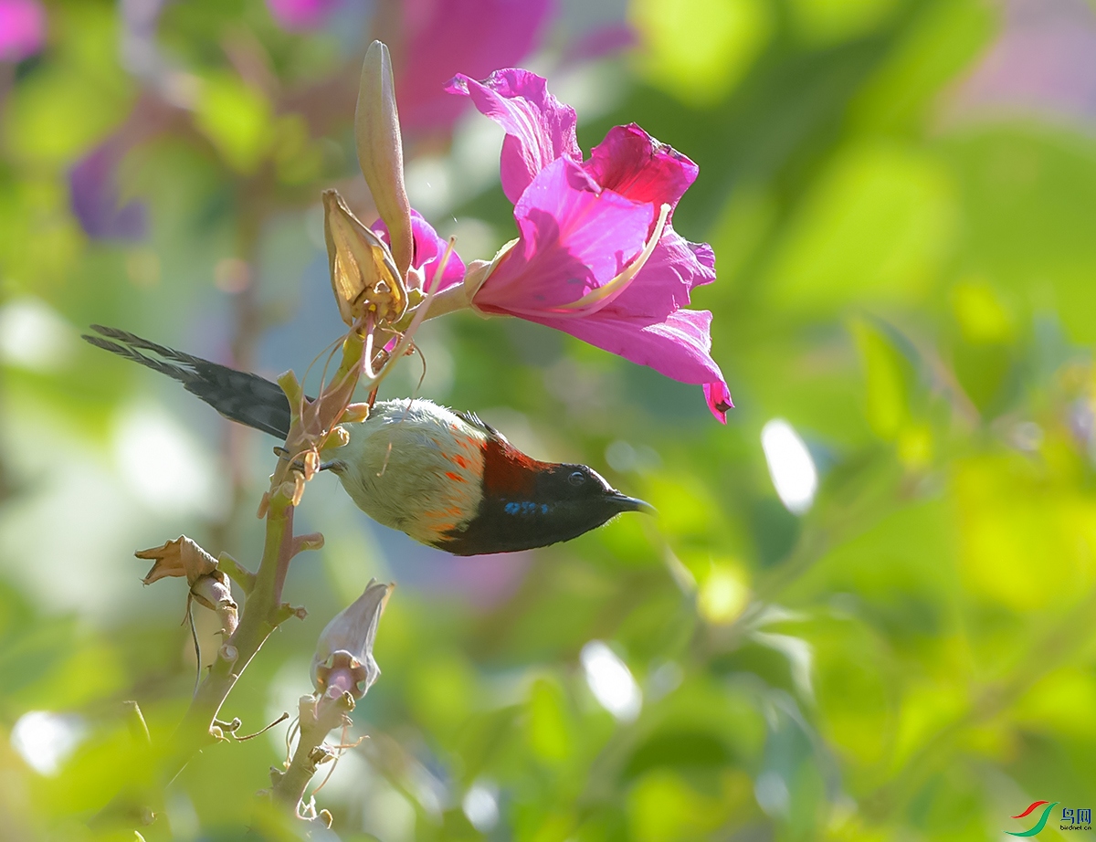 DSC_3997.JPG
