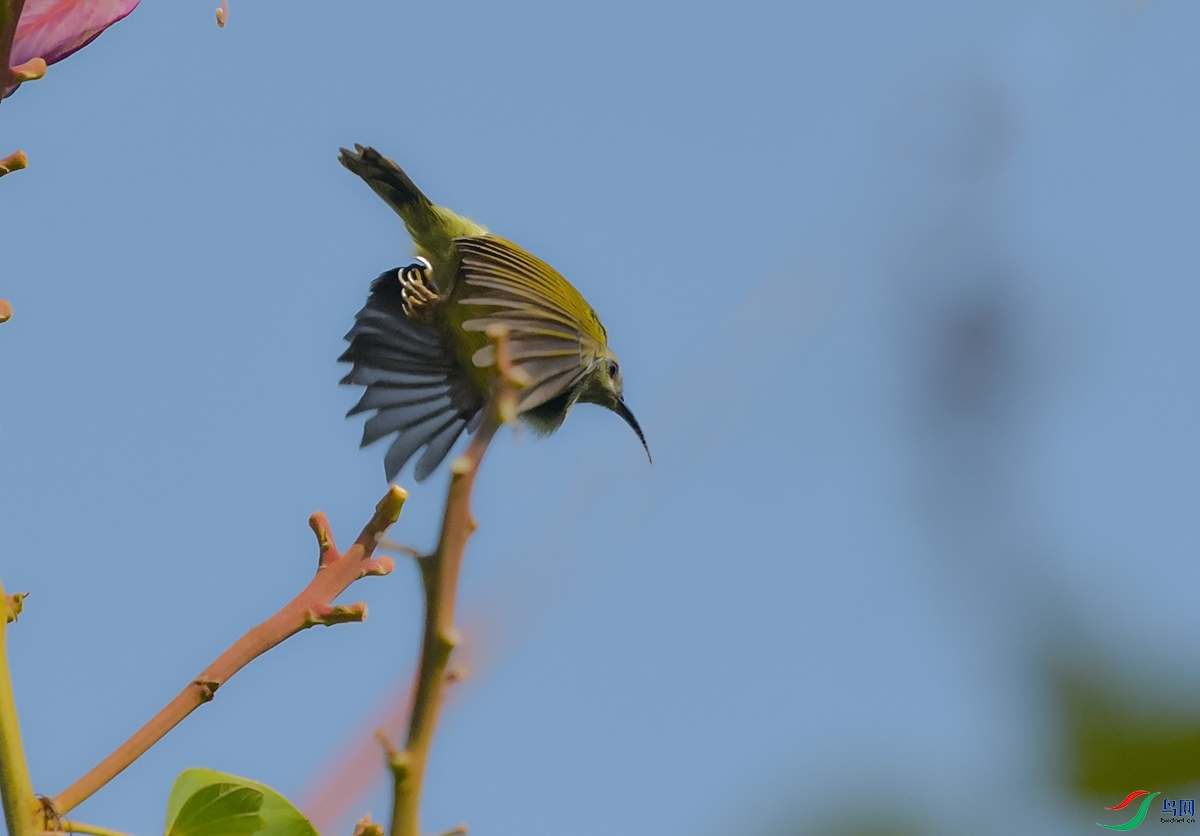 DSC_4165.JPG