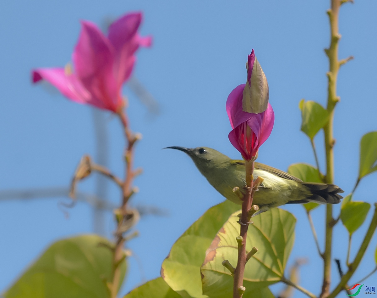 DSC_4144.JPG