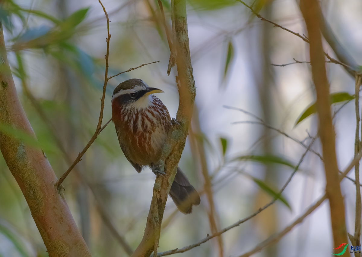 DSC_4971.JPG