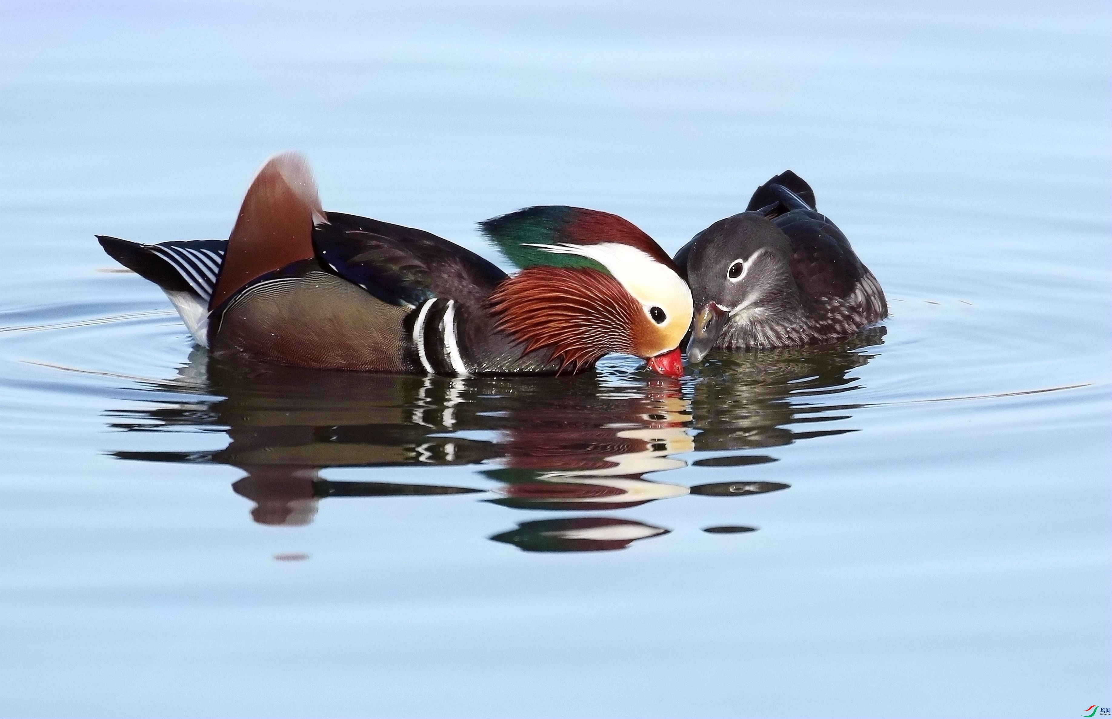 ����ͬ��1U4A3163_����.jpg