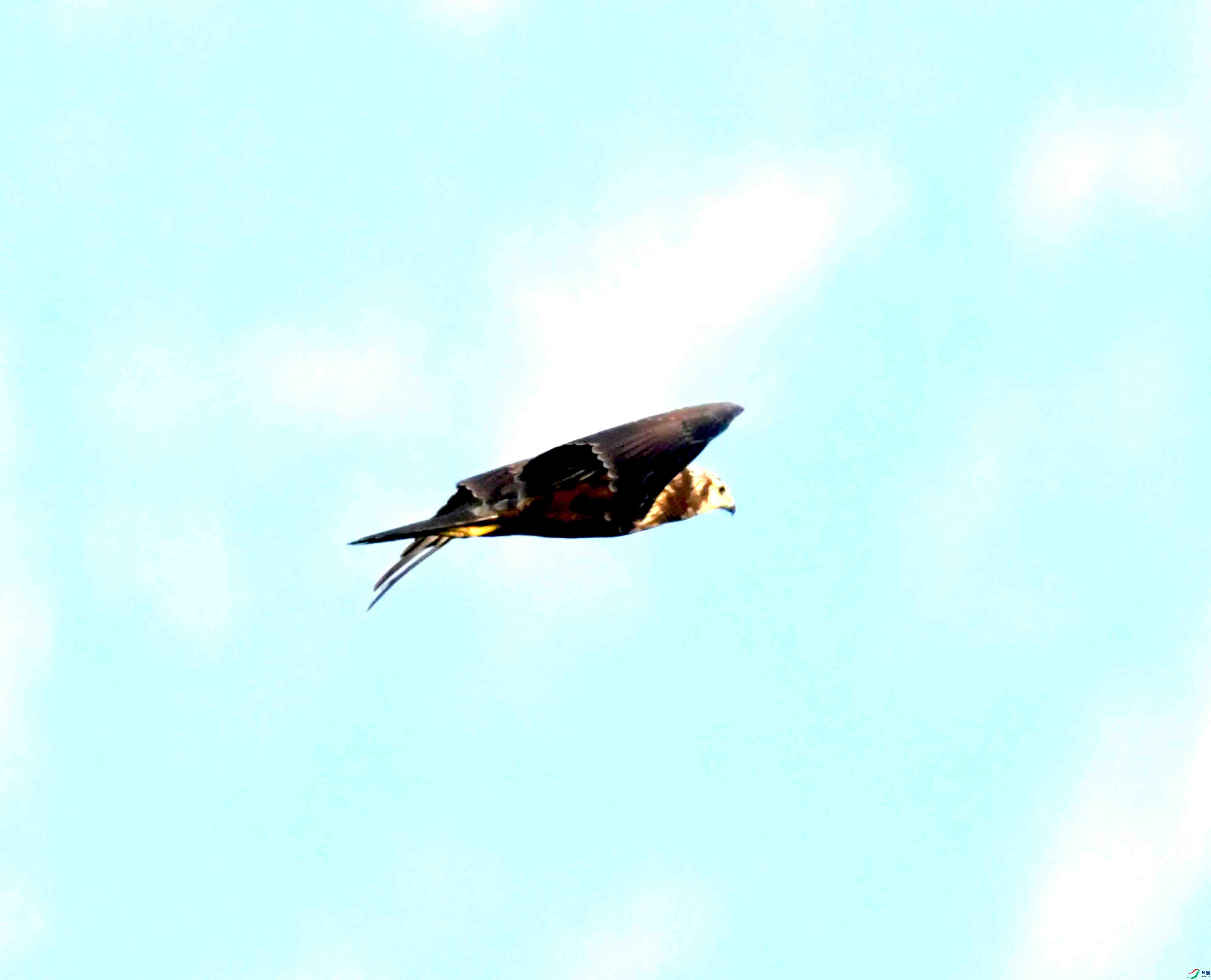 DSC_1162.JPG