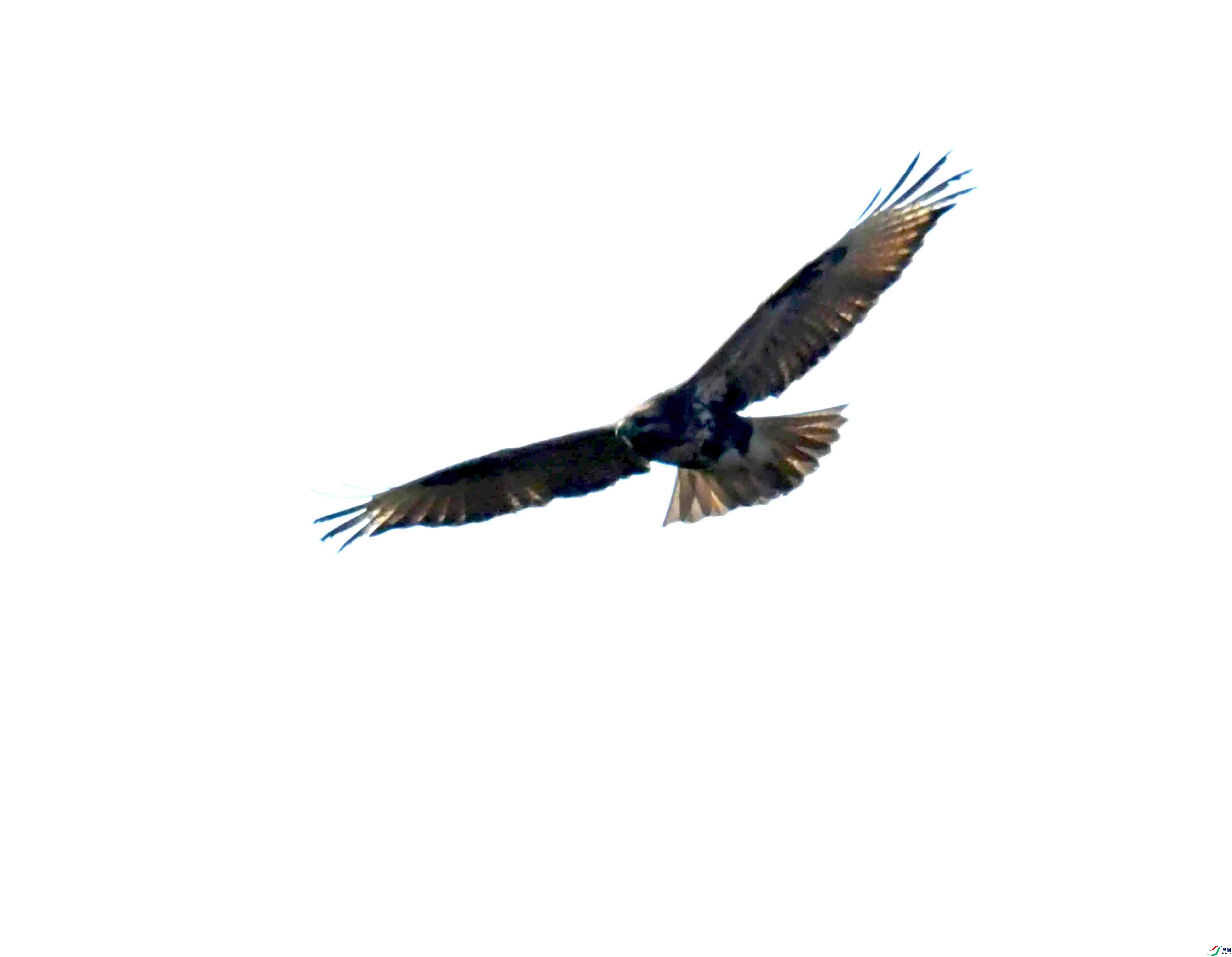 DSC_1170.JPG
