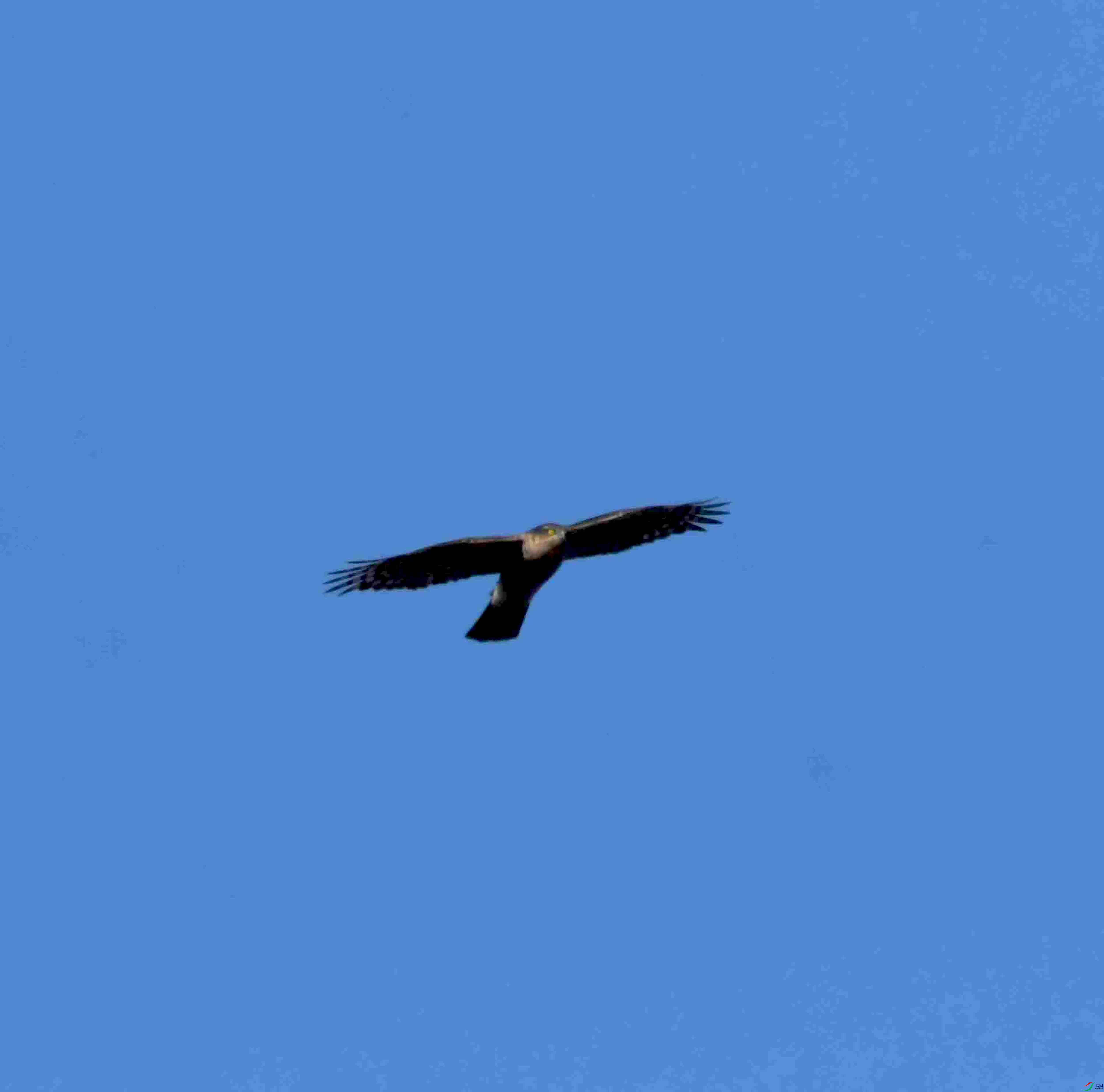 DSC_1504.JPG