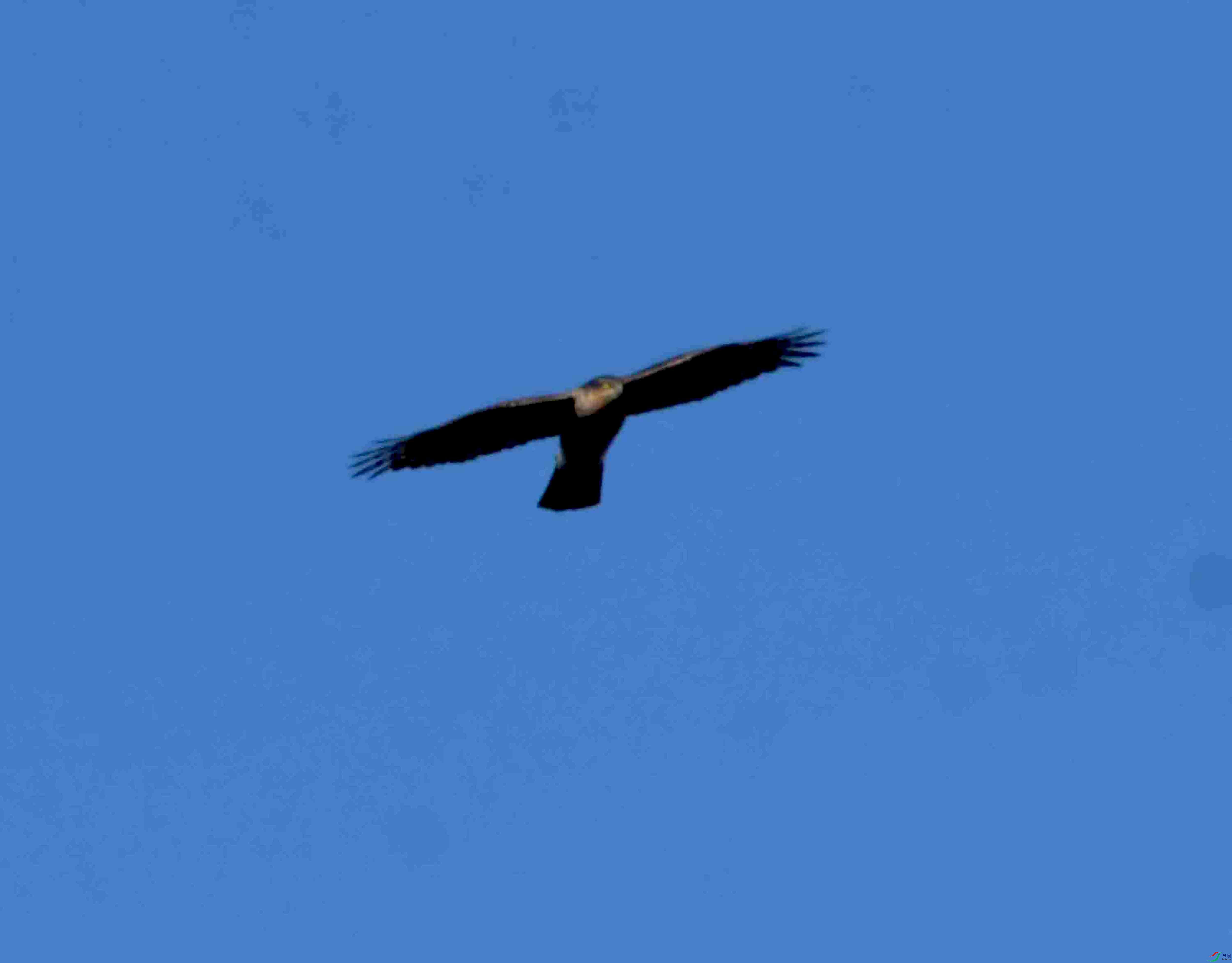 DSC_1506.JPG